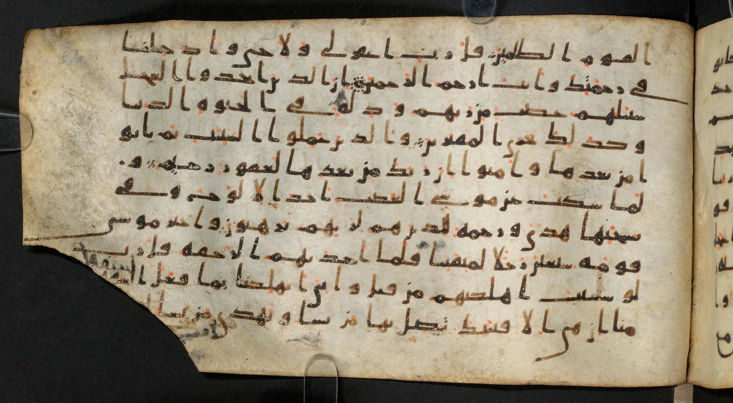 Staatsbibliothek zu Berlin, Ms. or. fol. 4313 (Scan 1), in Ḥiǧāzī (close to type II) script, showing Surah 7:151 from Mid to Late 7th Century AD found in Fustat (Old Cairo), Egypt, currently housed at Staatsbibliothek zu Berlin, Berlin