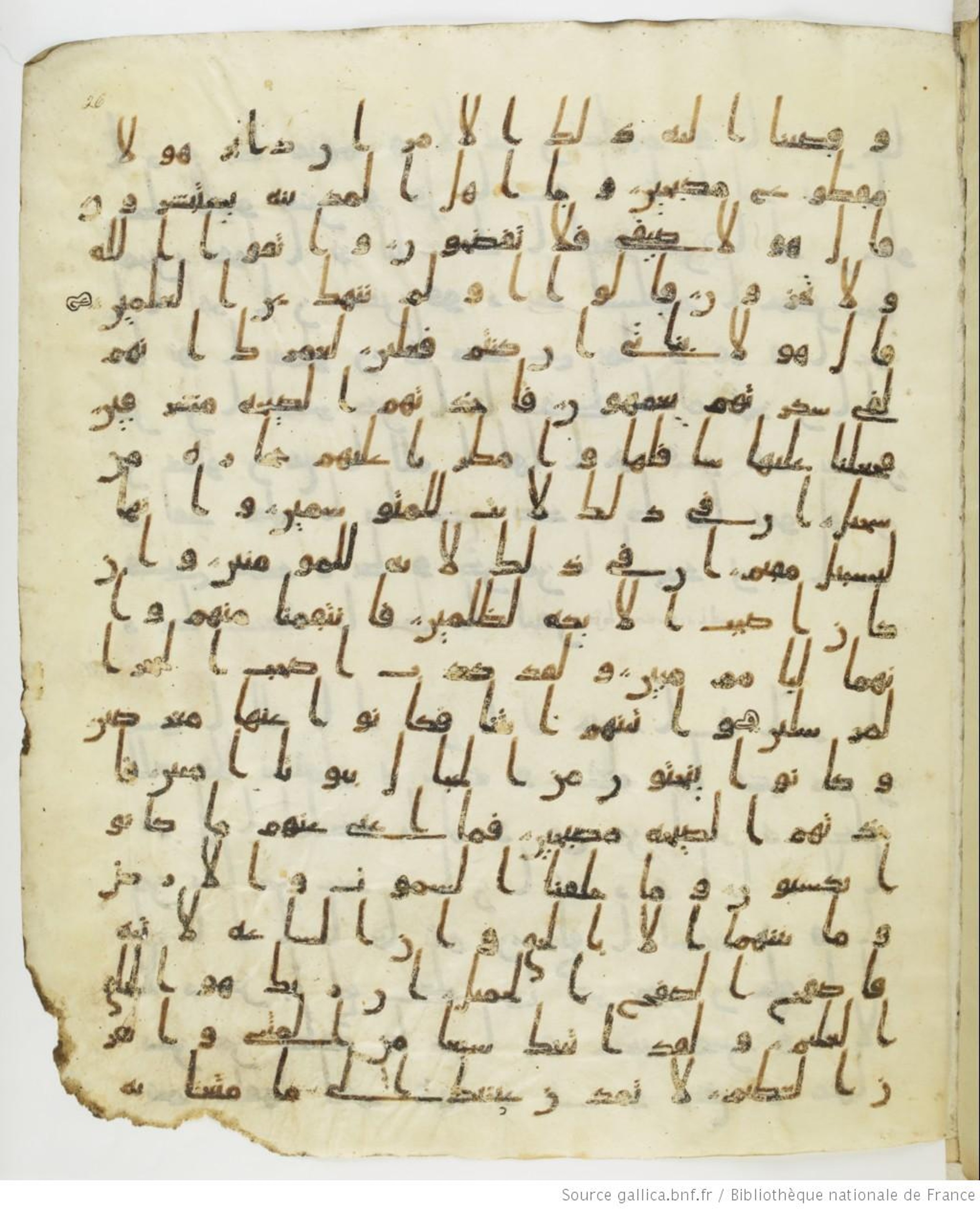 Staatsbibliothek zu Berlin, Ms. or. fol. 4313 (Scan 2), in Ḥiǧāzī (close to type II) script, showing Surah 15:71 from Mid to Late 7th Century AD found in Fustat (Old Cairo), Egypt, currently housed at Staatsbibliothek zu Berlin, Berlin
