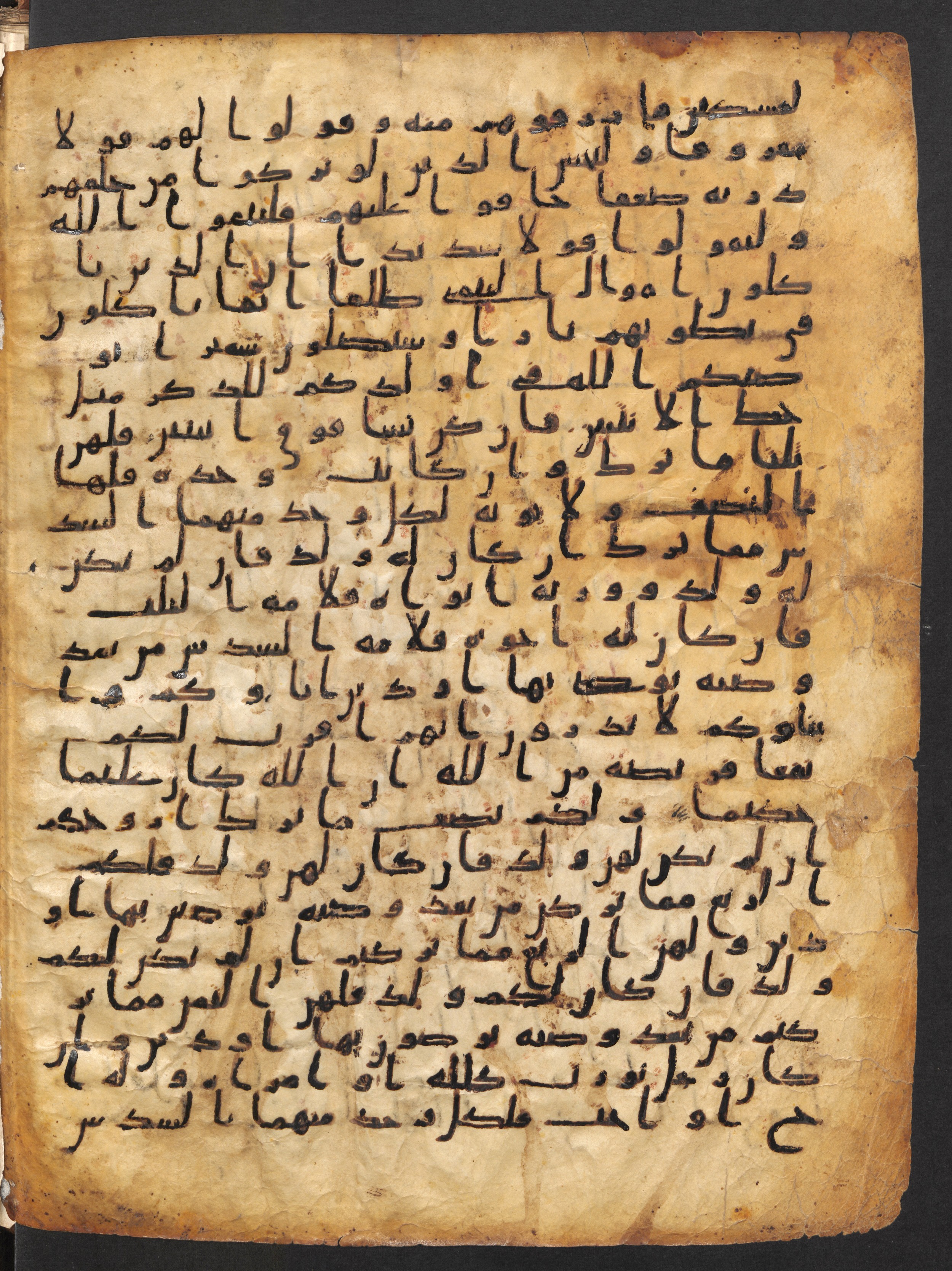Staatsbibliothek zu Berlin, Ms. or. fol. 4313 (Scan 2), in Ḥiǧāzī (close to type II) script, showing Surah 4:8 from Mid to Late 7th Century AD found in Fustat (Old Cairo), Egypt, currently housed at Staatsbibliothek zu Berlin, Berlin