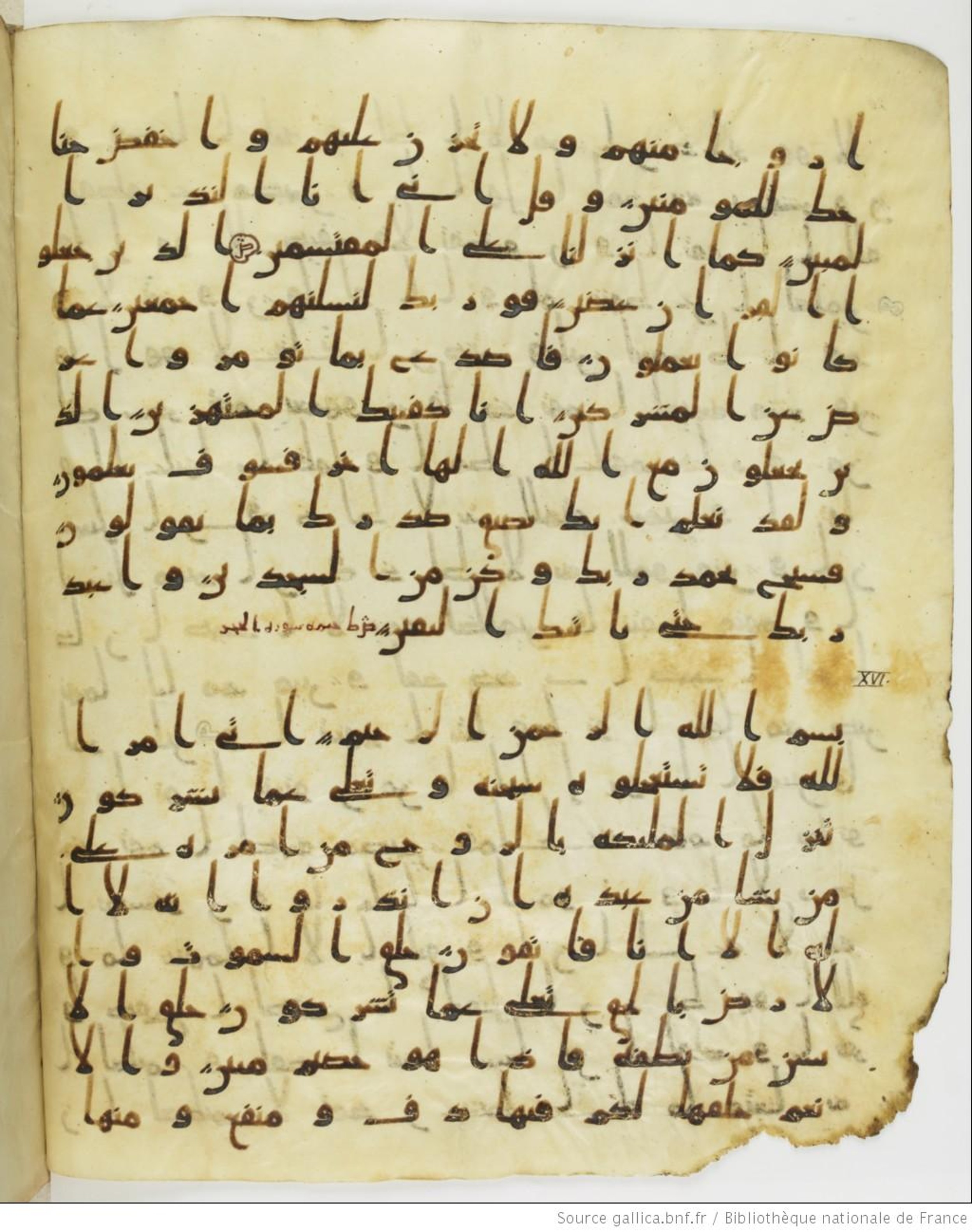 Staatsbibliothek zu Berlin, Ms. or. fol. 4313 (Scan 2), in Ḥiǧāzī (close to type II) script, showing Surah 16:2 from Mid to Late 7th Century AD found in Fustat (Old Cairo), Egypt, currently housed at Staatsbibliothek zu Berlin, Berlin