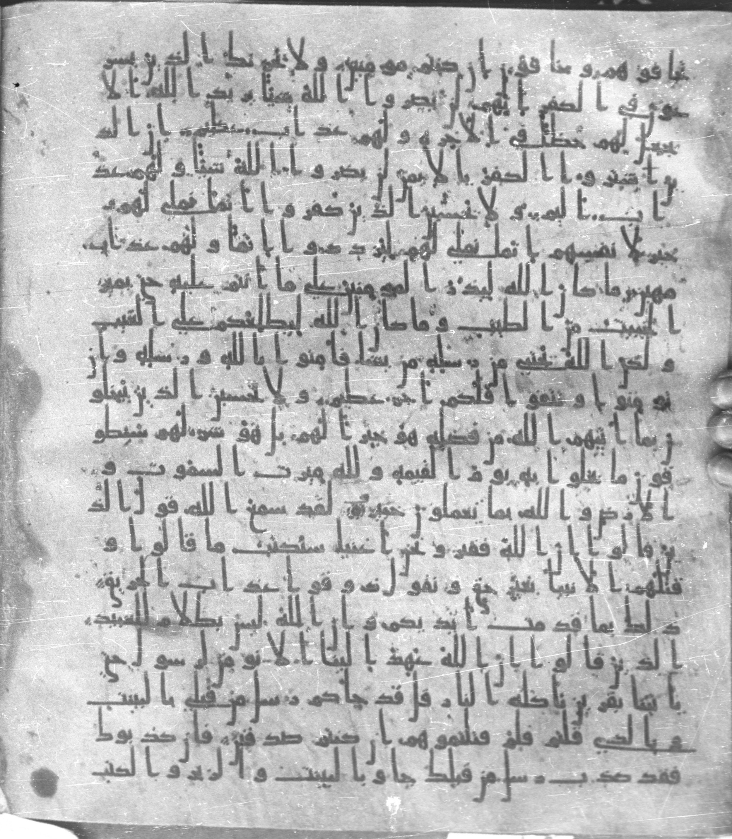 Staatsbibliothek zu Berlin, Ms. or. fol. 4313 (Scan 4), in Ḥiǧāzī (close to type II) script, showing Surah 3:175 from Mid to Late 7th Century AD found in Fustat (Old Cairo), Egypt, currently housed at Staatsbibliothek zu Berlin, Berlin