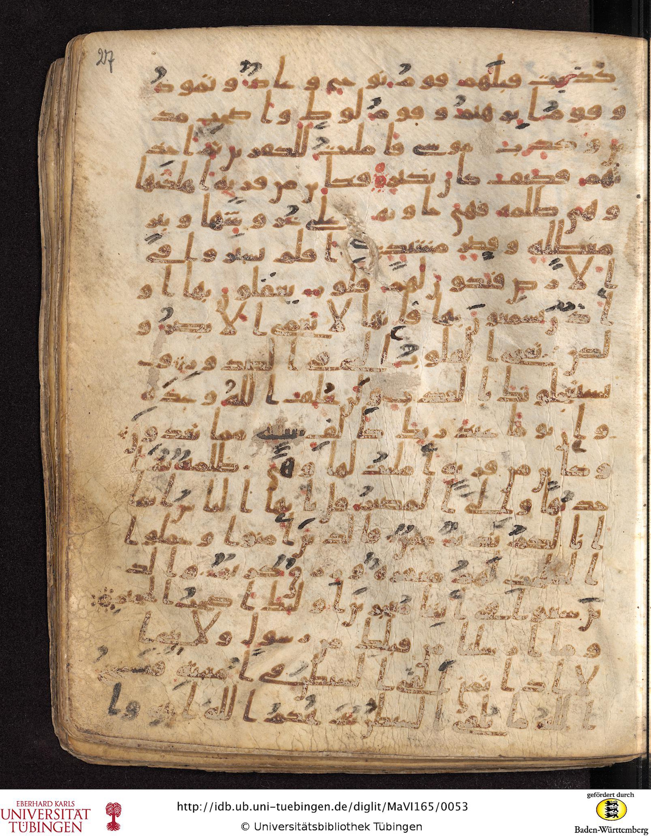 Staatsbibliothek zu Berlin, Ms. or. fol. 4313 (Scan 4), in Ḥiǧāzī (close to type II) script, showing Surah 22:49 from Mid to Late 7th Century AD found in Fustat (Old Cairo), Egypt, currently housed at Staatsbibliothek zu Berlin, Berlin