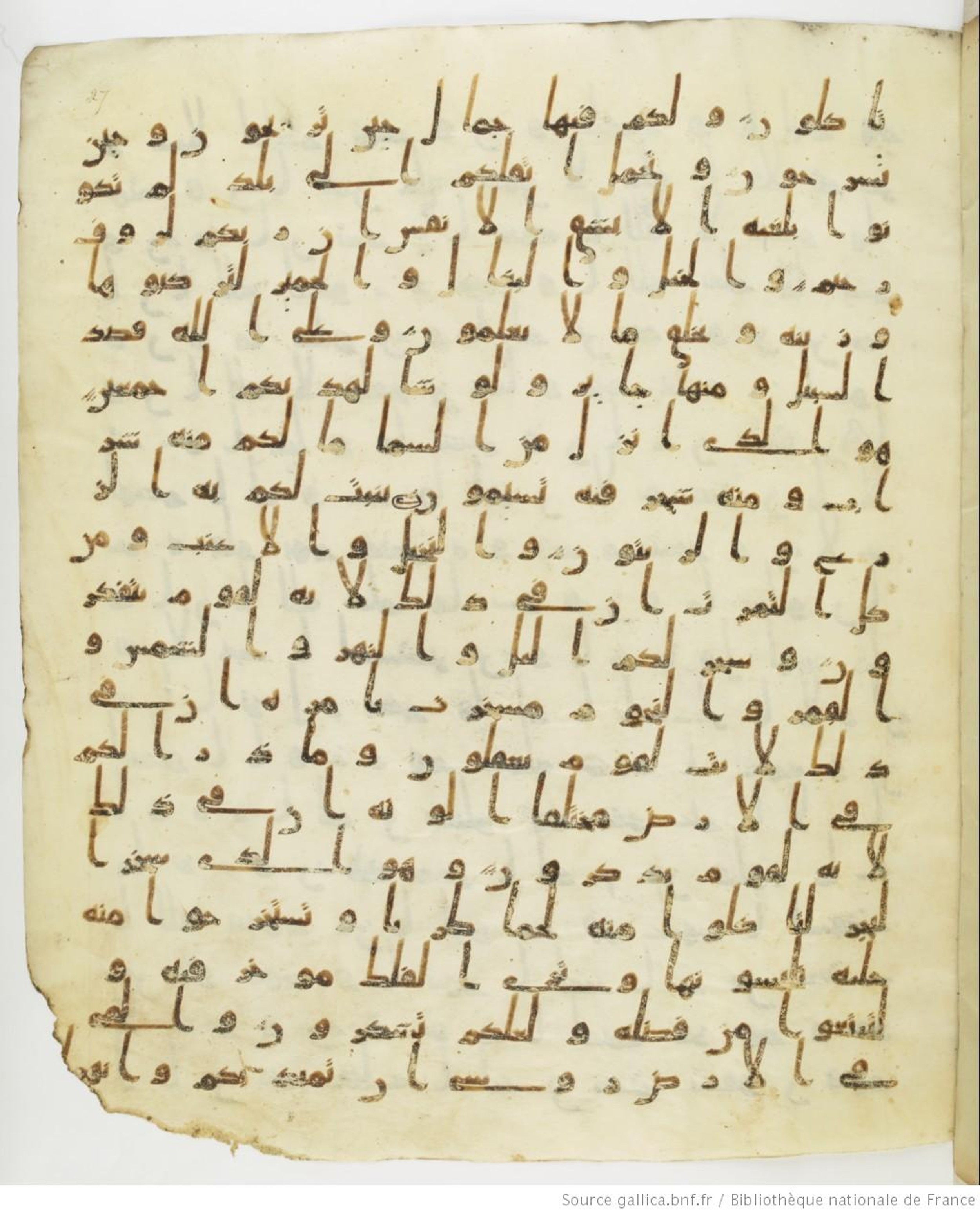 Staatsbibliothek zu Berlin, Ms. or. fol. 4313 (Scan 2), in Ḥiǧāzī (close to type II) script, showing Surah 16:13 from Mid to Late 7th Century AD found in Fustat (Old Cairo), Egypt, currently housed at Staatsbibliothek zu Berlin, Berlin