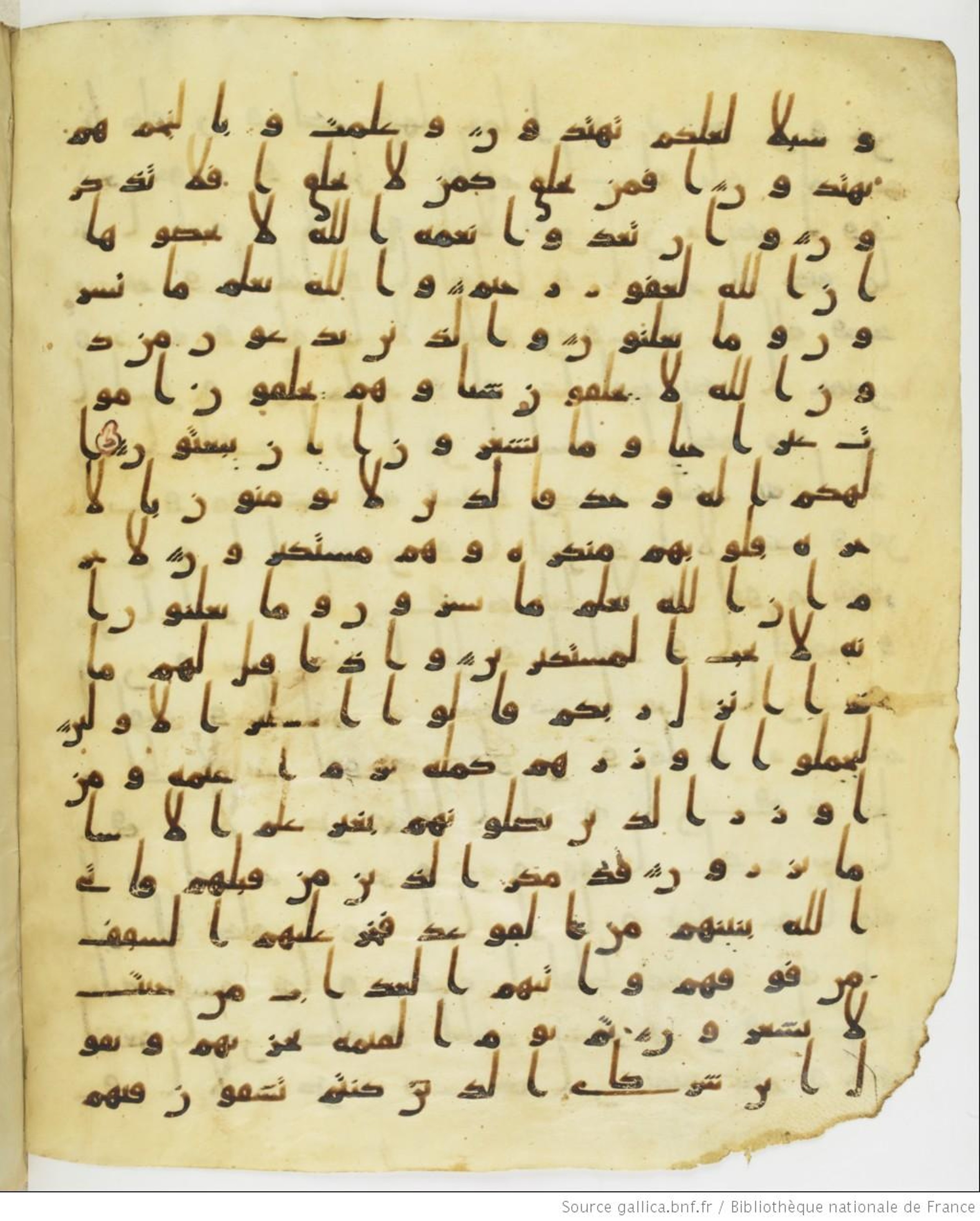 Staatsbibliothek zu Berlin, Ms. or. fol. 4313 (Scan 2), in Ḥiǧāzī (close to type II) script, showing Surah 16:21 from Mid to Late 7th Century AD found in Fustat (Old Cairo), Egypt, currently housed at Staatsbibliothek zu Berlin, Berlin