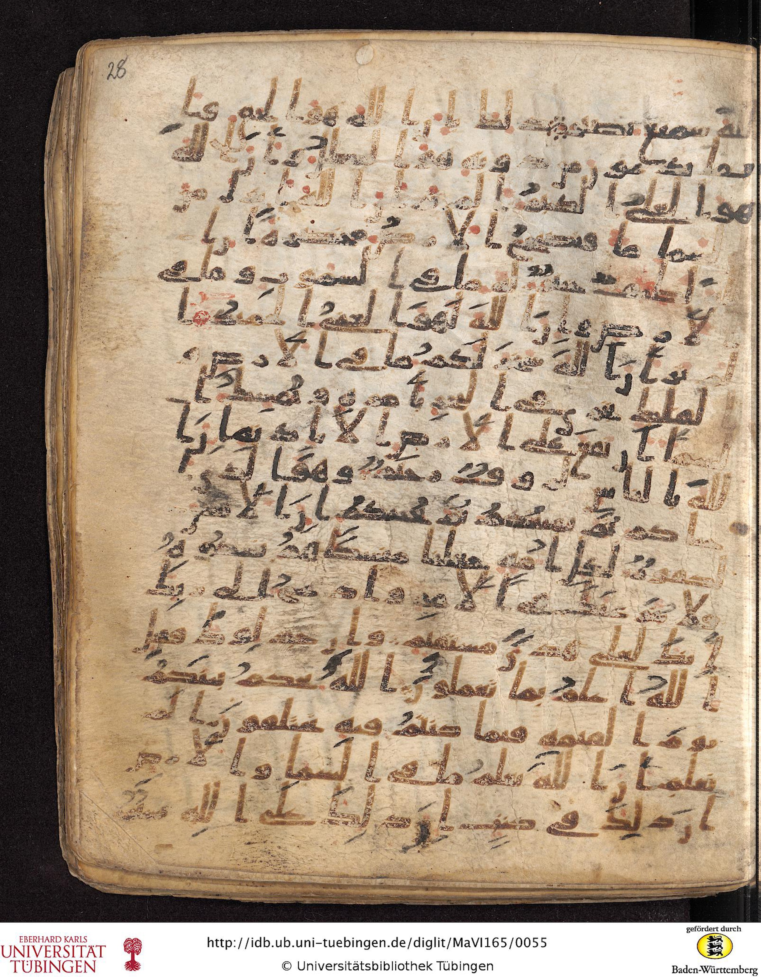 Staatsbibliothek zu Berlin, Ms. or. fol. 4313 (Scan 3), in Ḥiǧāzī (close to type II) script, showing Surah 22:69 from Mid to Late 7th Century AD found in Fustat (Old Cairo), Egypt, currently housed at Staatsbibliothek zu Berlin, Berlin