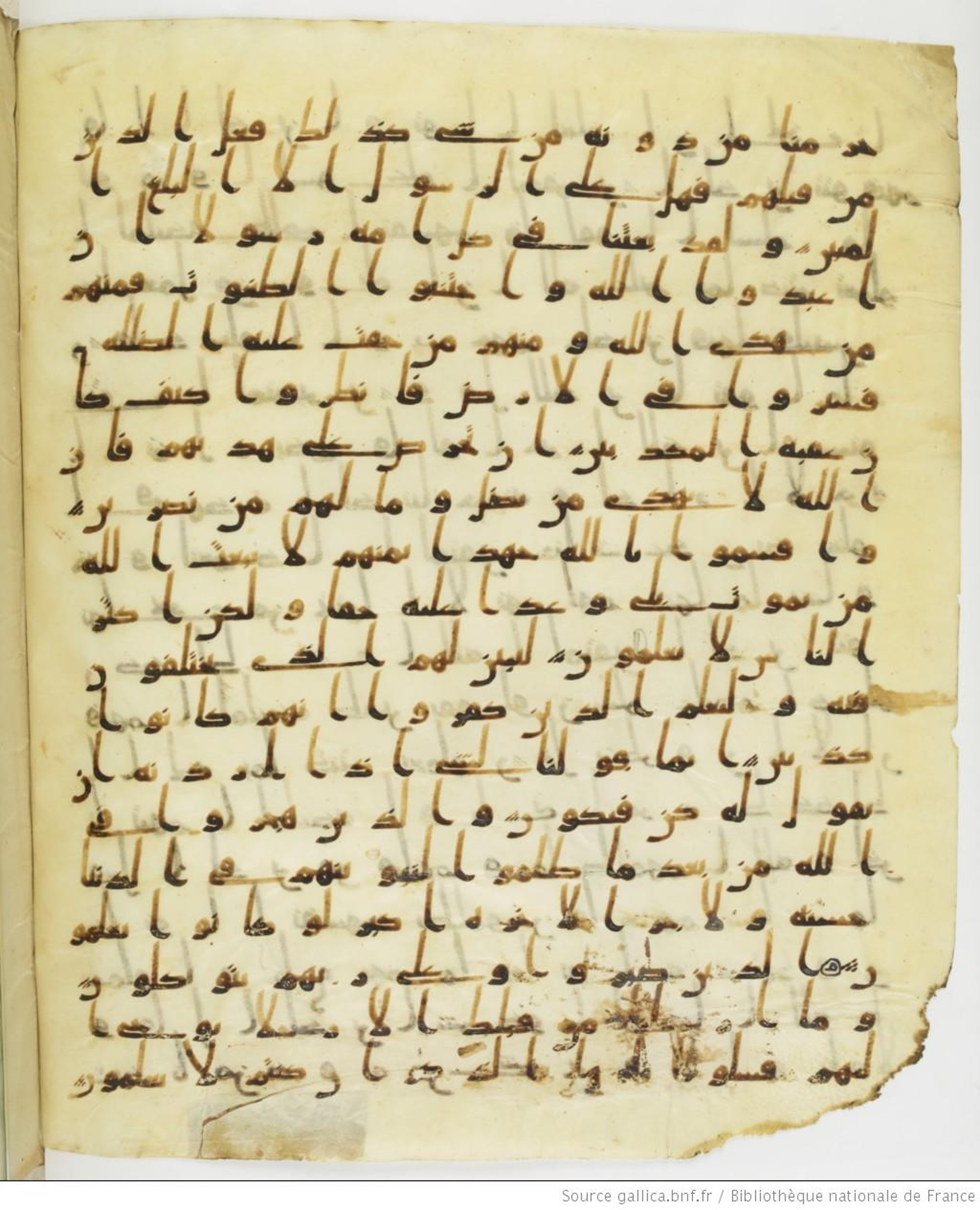Staatsbibliothek zu Berlin, Ms. or. fol. 4313 (Scan 2), in Ḥiǧāzī (close to type II) script, showing Surah 16:40 from Mid to Late 7th Century AD found in Fustat (Old Cairo), Egypt, currently housed at Staatsbibliothek zu Berlin, Berlin