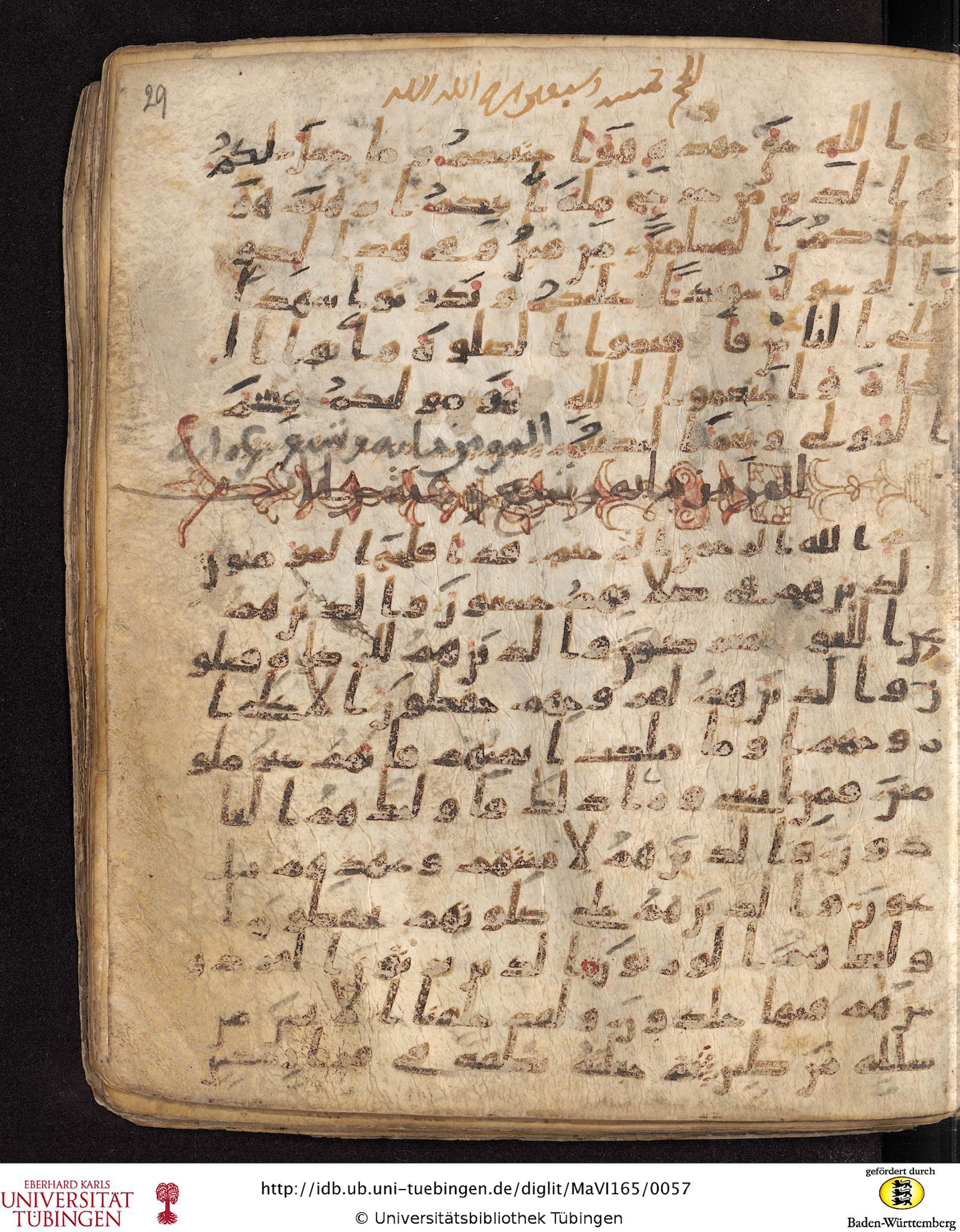 Staatsbibliothek zu Berlin, Ms. or. fol. 4313 (Scan 5), in Ḥiǧāzī (close to type II) script, showing Surah 23:13 from Mid to Late 7th Century AD found in Fustat (Old Cairo), Egypt, currently housed at Staatsbibliothek zu Berlin, Berlin