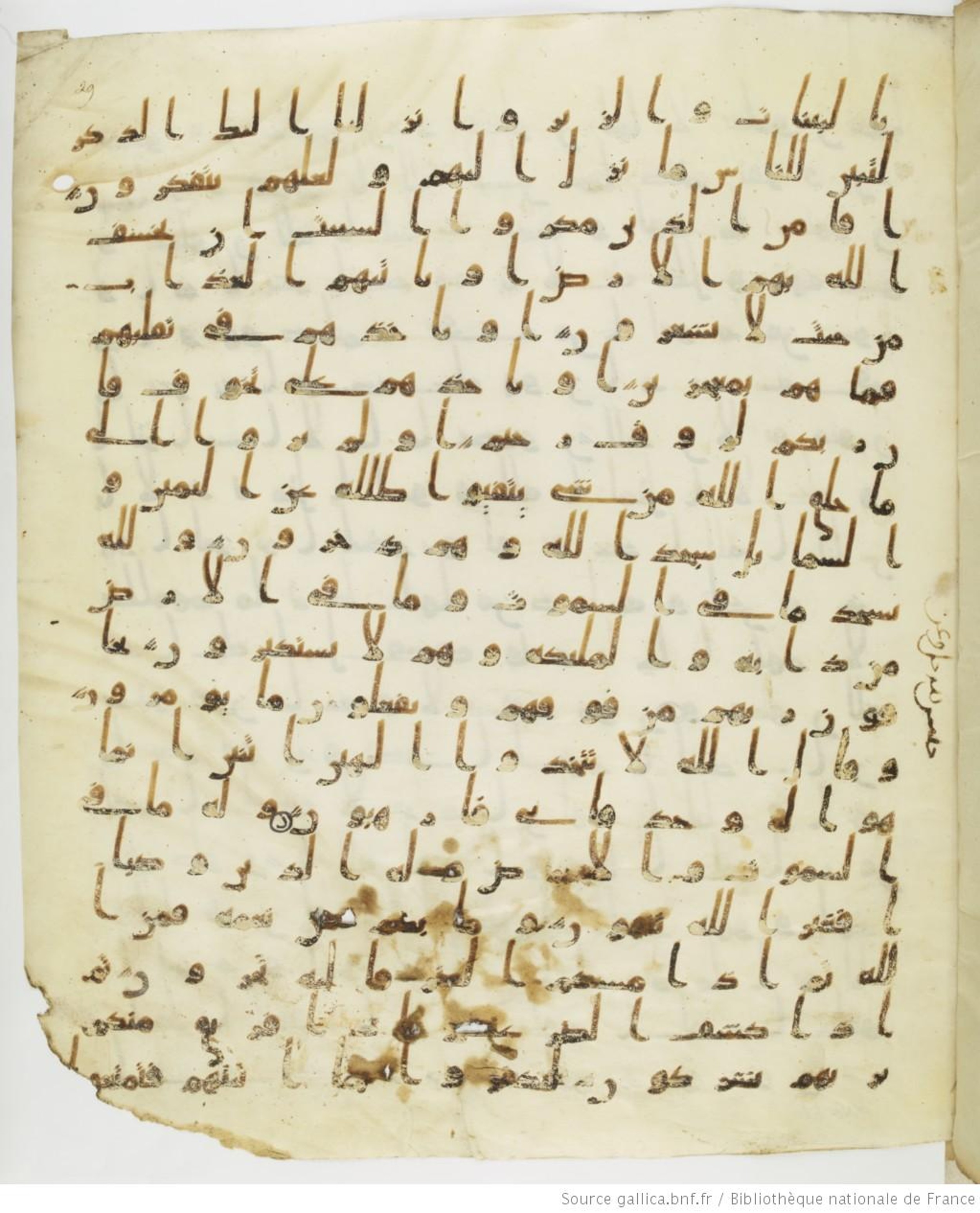 Staatsbibliothek zu Berlin, Ms. or. fol. 4313 (Scan 2), in Ḥiǧāzī (close to type II) script, showing Surah 16:46 from Mid to Late 7th Century AD found in Fustat (Old Cairo), Egypt, currently housed at Staatsbibliothek zu Berlin, Berlin