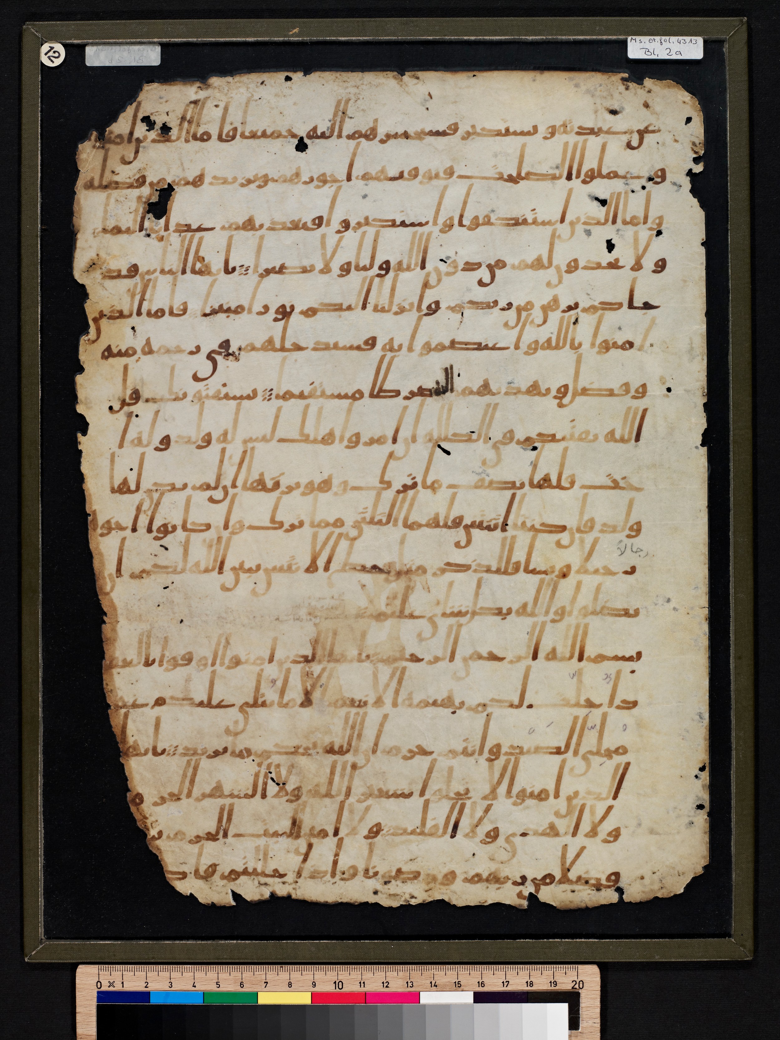 Staatsbibliothek zu Berlin, Ms. or. fol. 4313 (Scan 3), in Ḥiǧāzī (close to type II) script, showing Surah 4:175 from Mid to Late 7th Century AD found in Fustat (Old Cairo), Egypt, currently housed at Staatsbibliothek zu Berlin, Berlin