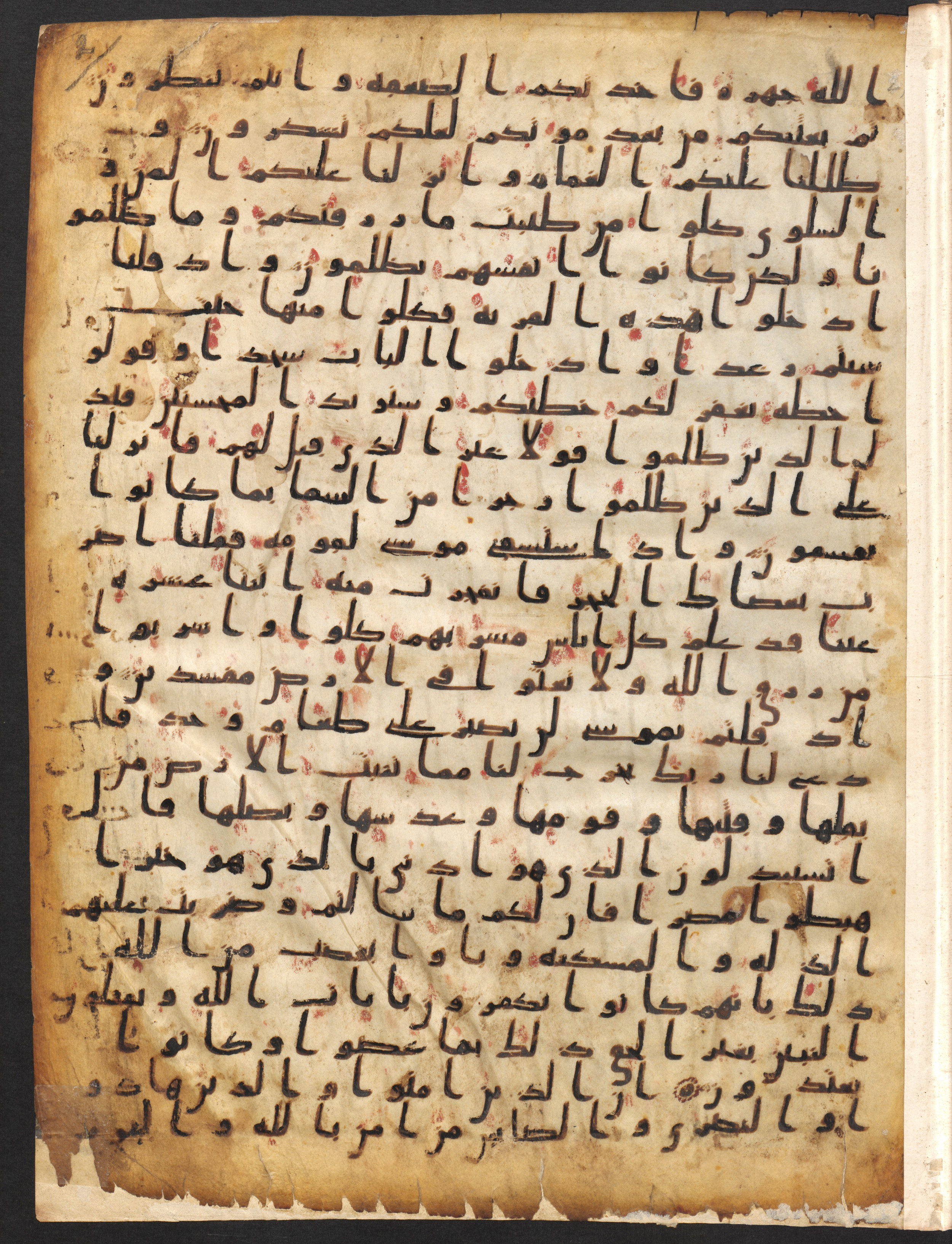 Staatsbibliothek zu Berlin, Ms. or. fol. 4313 (Scan 1), in Ḥiǧāzī (close to type II) script, showing Surah 2:56 from Mid to Late 7th Century AD found in Fustat (Old Cairo), Egypt, currently housed at Staatsbibliothek zu Berlin, Berlin