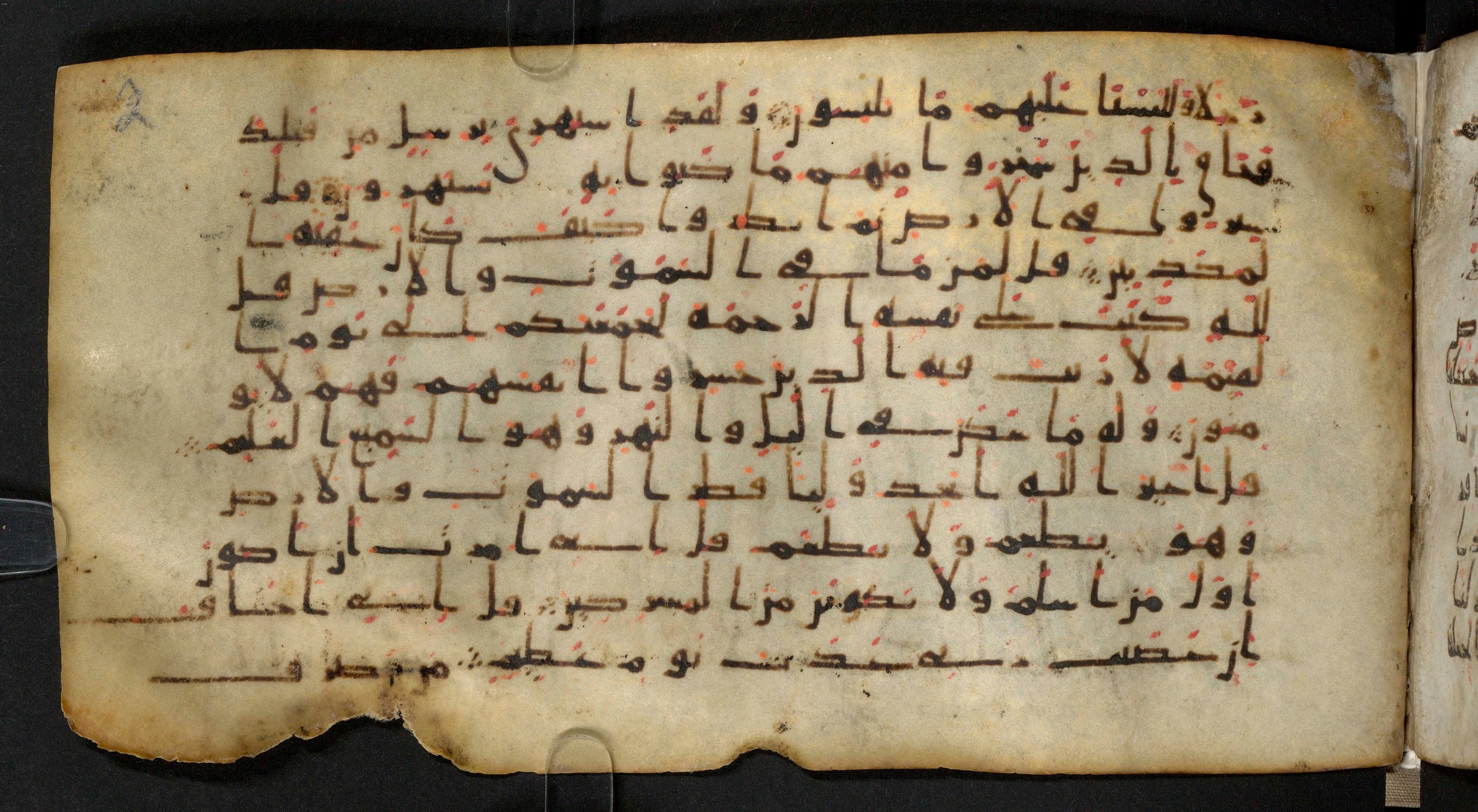 Staatsbibliothek zu Berlin, Ms. or. fol. 4313 (Scan 1), in Ḥiǧāzī (close to type II) script, showing Surah 6:13 from Mid to Late 7th Century AD found in Fustat (Old Cairo), Egypt, currently housed at Staatsbibliothek zu Berlin, Berlin