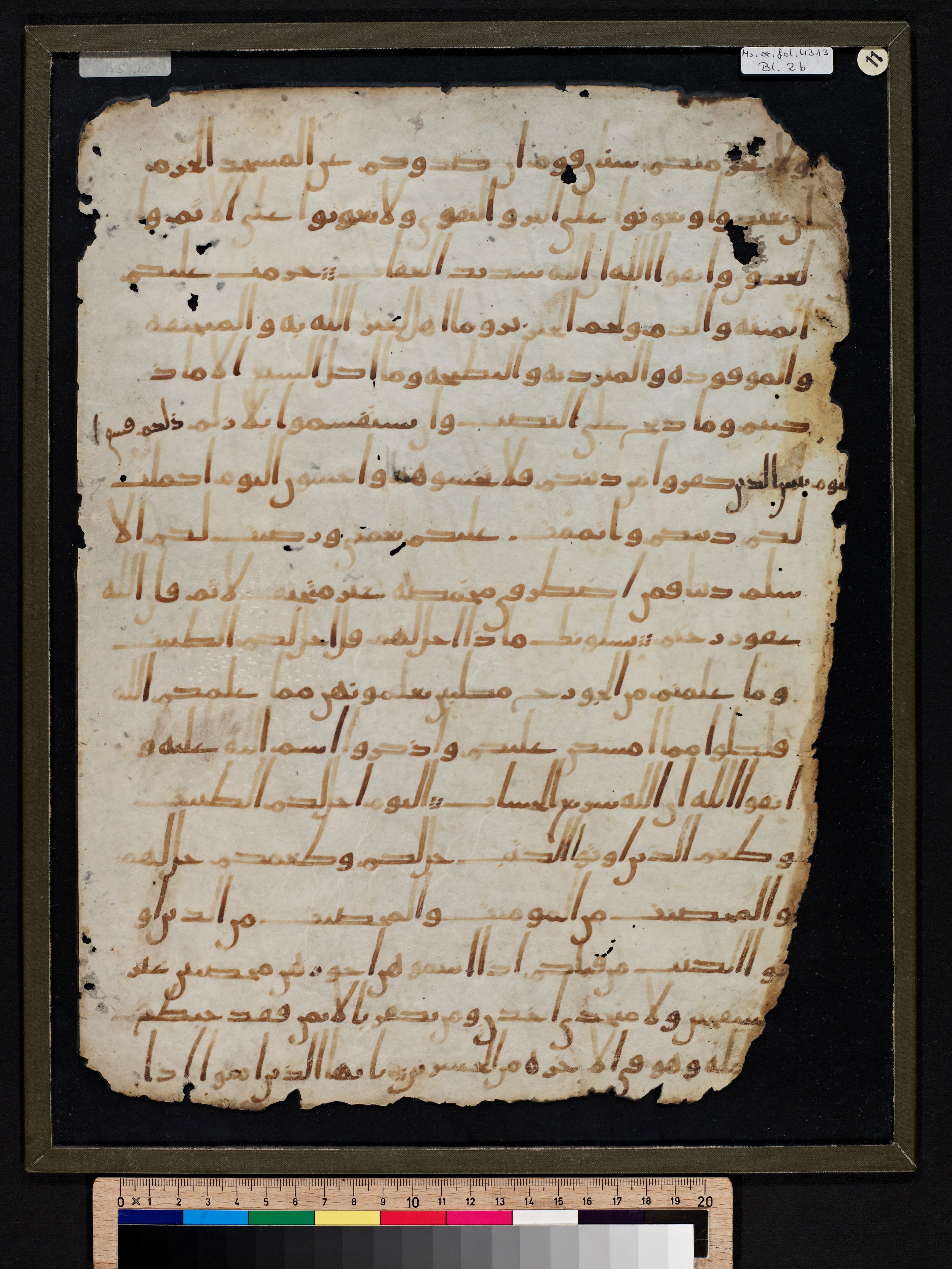 Staatsbibliothek zu Berlin, Ms. or. fol. 4313 (Scan 4), in Ḥiǧāzī (close to type II) script, showing Surah 5:2 from Mid to Late 7th Century AD found in Fustat (Old Cairo), Egypt, currently housed at Staatsbibliothek zu Berlin, Berlin