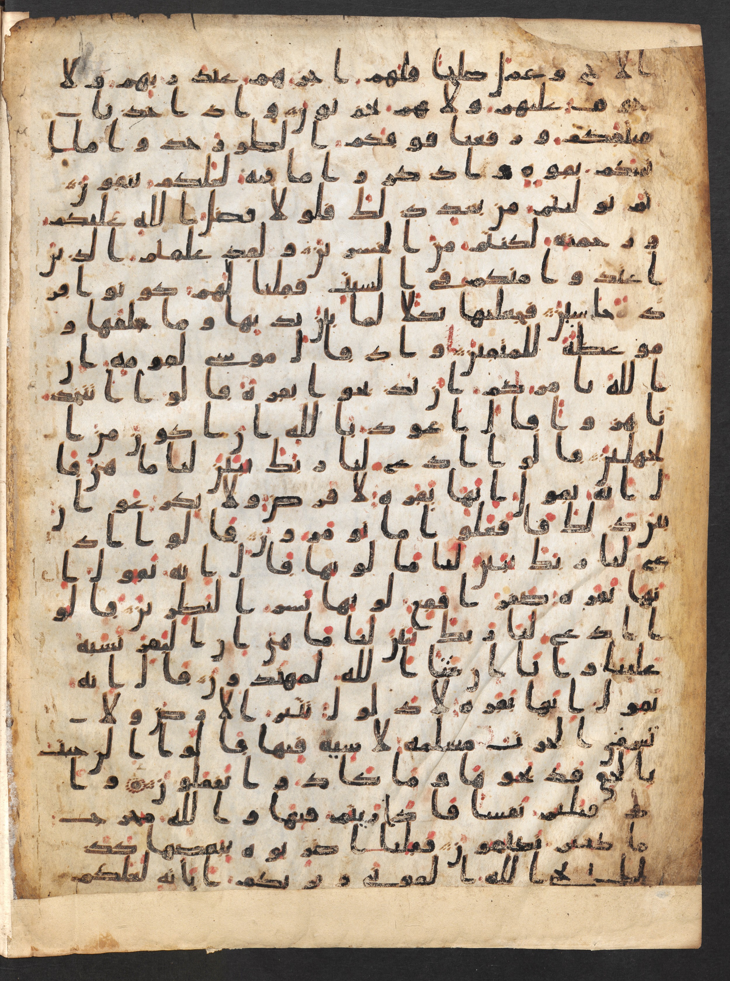Staatsbibliothek zu Berlin, Ms. or. fol. 4313 (Scan 1), in Ḥiǧāzī (close to type II) script, showing Surah 2:71 from Mid to Late 7th Century AD found in Fustat (Old Cairo), Egypt, currently housed at Staatsbibliothek zu Berlin, Berlin