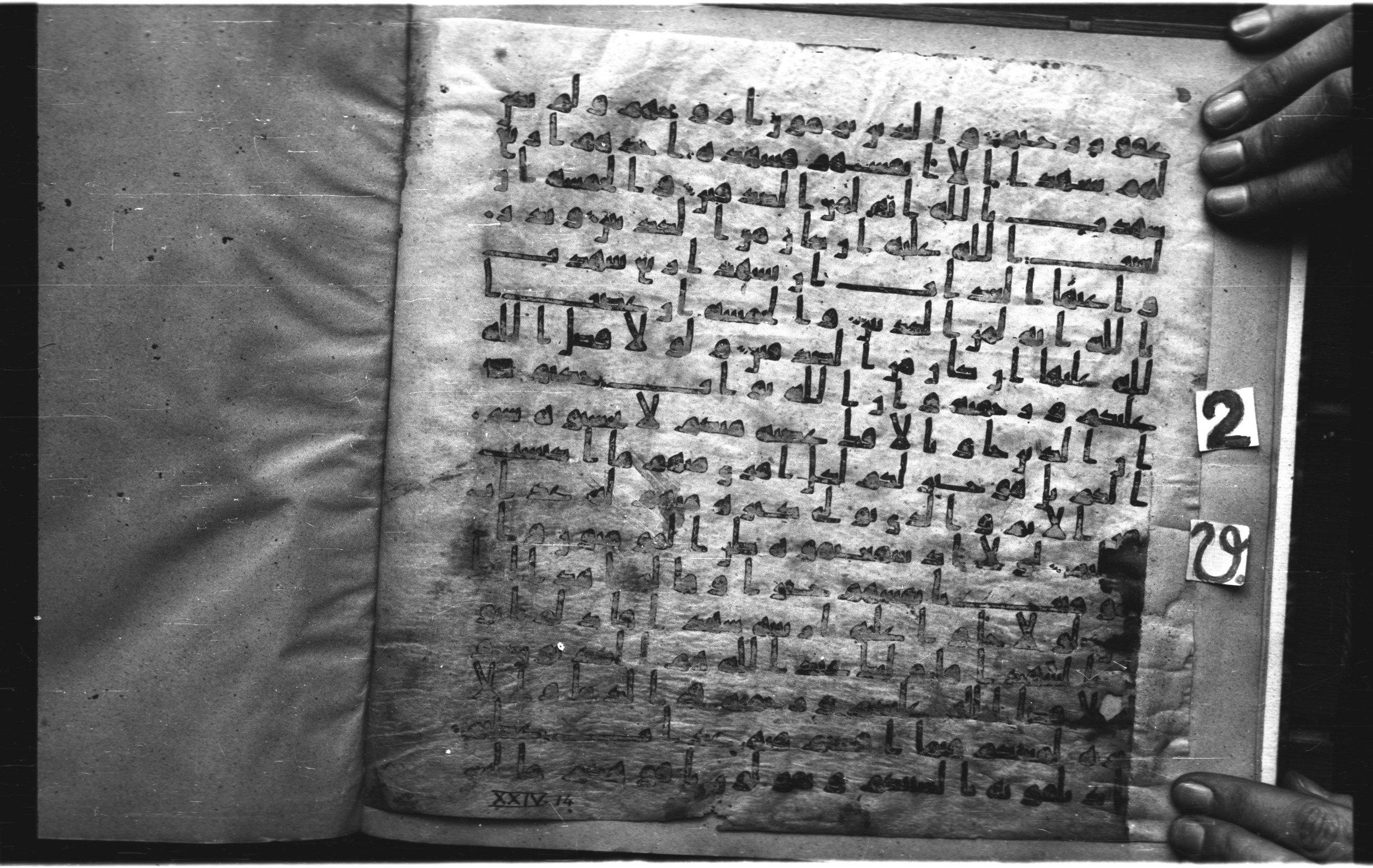 Staatsbibliothek zu Berlin, Ms. or. fol. 4313 (Scan 4), in Ḥiǧāzī (close to type II) script, showing Surah 24:7 from Mid to Late 7th Century AD found in Fustat (Old Cairo), Egypt, currently housed at Staatsbibliothek zu Berlin, Berlin