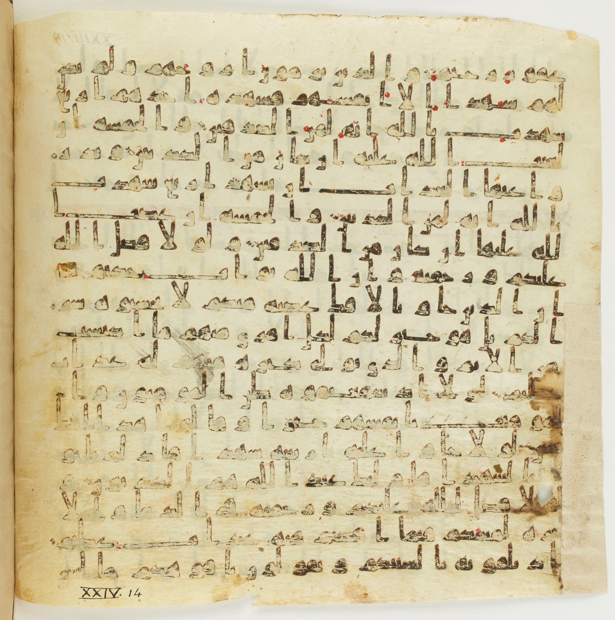 Staatsbibliothek zu Berlin, Ms. or. fol. 4313 (Scan 5), in Ḥiǧāzī (close to type II) script, showing Surah 24:7 from Mid to Late 7th Century AD found in Fustat (Old Cairo), Egypt, currently housed at Staatsbibliothek zu Berlin, Berlin