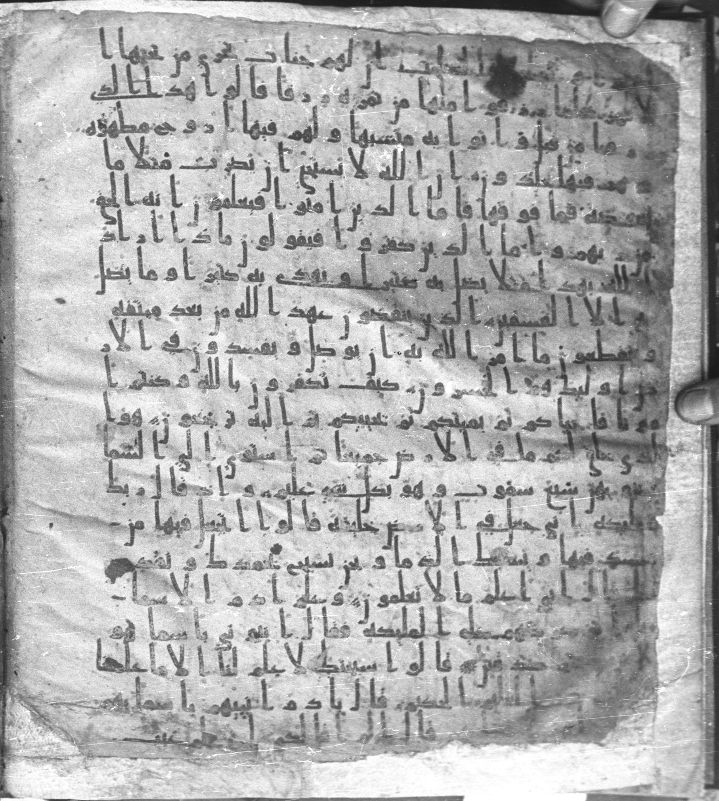 Staatsbibliothek zu Berlin, Ms. or. fol. 4313 (Scan 5), in Ḥiǧāzī (close to type II) script, showing Surah 2:33 from Mid to Late 7th Century AD found in Fustat (Old Cairo), Egypt, currently housed at Staatsbibliothek zu Berlin, Berlin