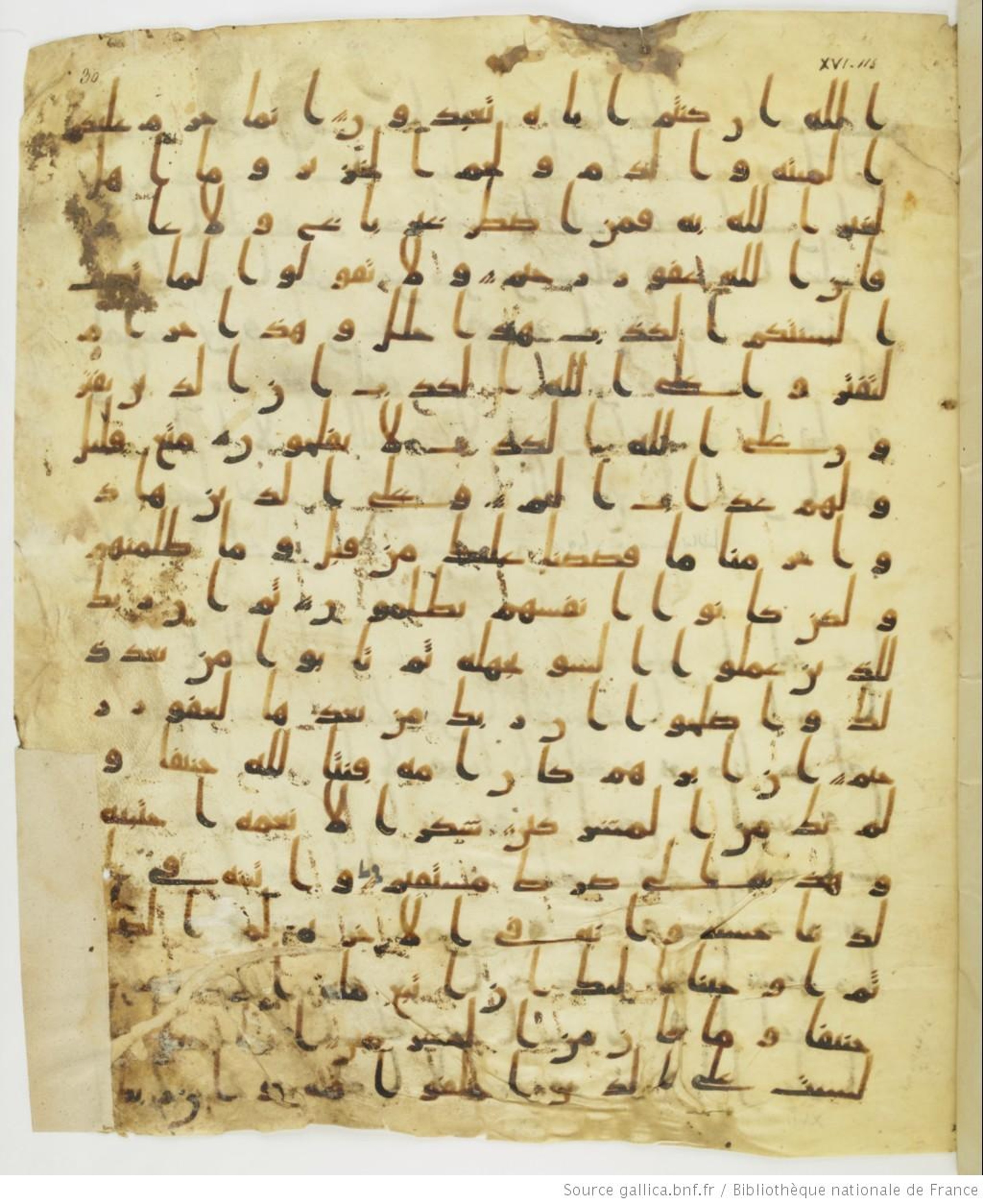 Staatsbibliothek zu Berlin, Ms. or. fol. 4313 (Scan 2), in Ḥiǧāzī (close to type II) script, showing Surah 16:116 from Mid to Late 7th Century AD found in Fustat (Old Cairo), Egypt, currently housed at Staatsbibliothek zu Berlin, Berlin