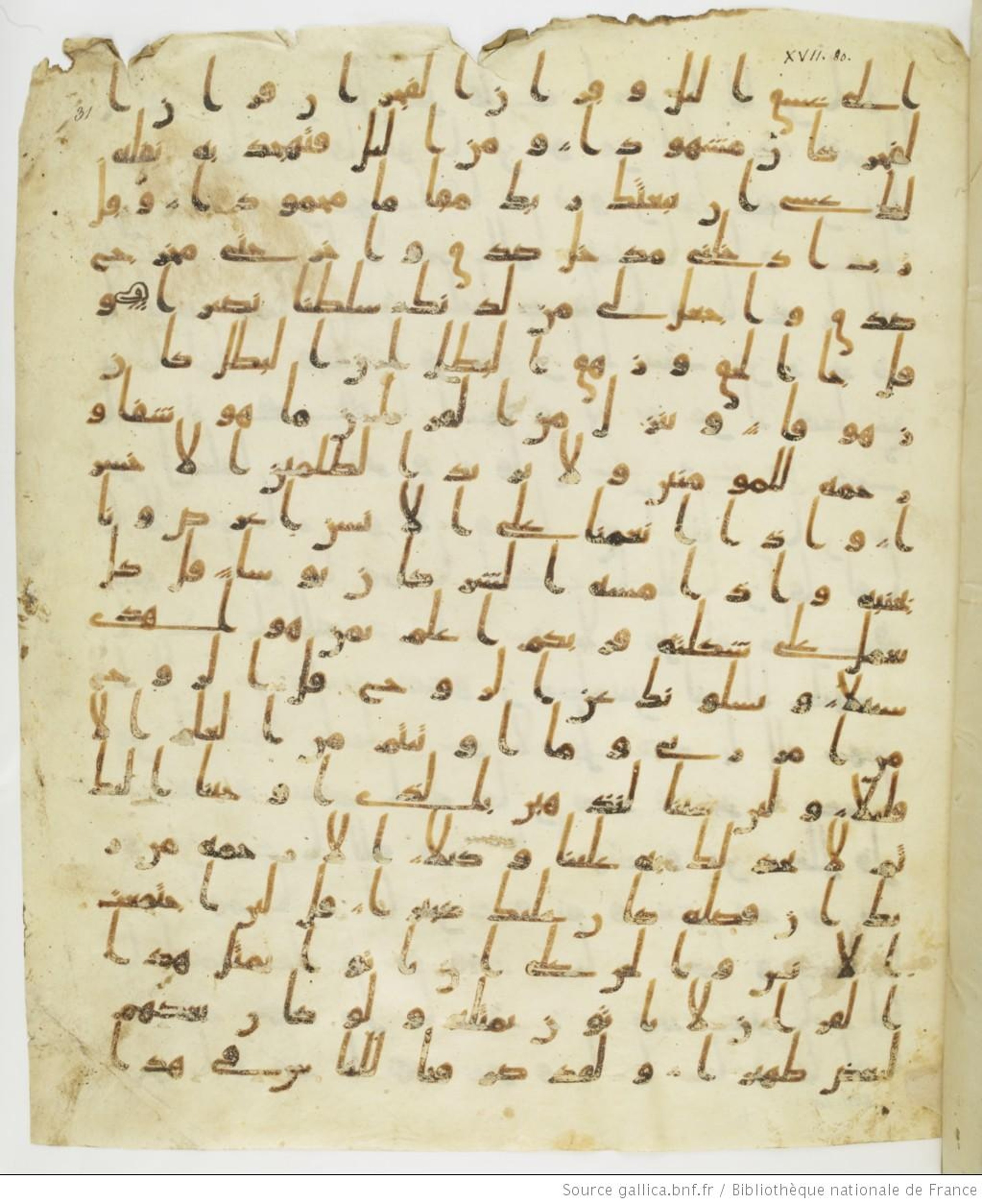 Staatsbibliothek zu Berlin, Ms. or. fol. 4313 (Scan 3), in Ḥiǧāzī (close to type II) script, showing Surah 17:82 from Mid to Late 7th Century AD found in Fustat (Old Cairo), Egypt, currently housed at Staatsbibliothek zu Berlin, Berlin