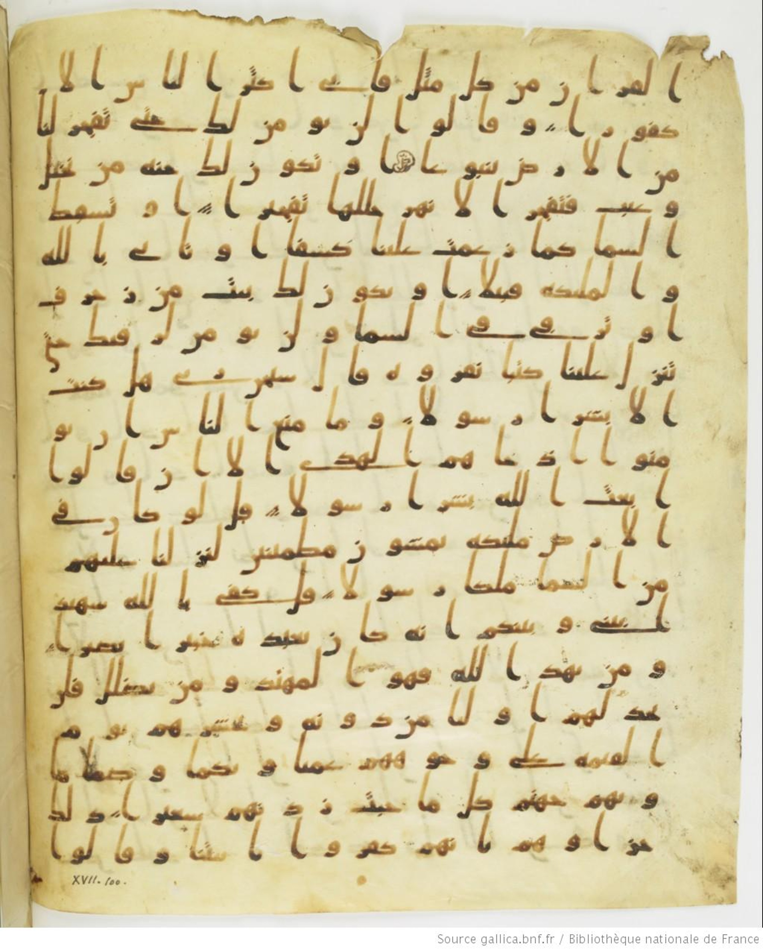 Staatsbibliothek zu Berlin, Ms. or. fol. 4313 (Scan 5), in Ḥiǧāzī (close to type II) script, showing Surah 17:97 from Mid to Late 7th Century AD found in Fustat (Old Cairo), Egypt, currently housed at Staatsbibliothek zu Berlin, Berlin