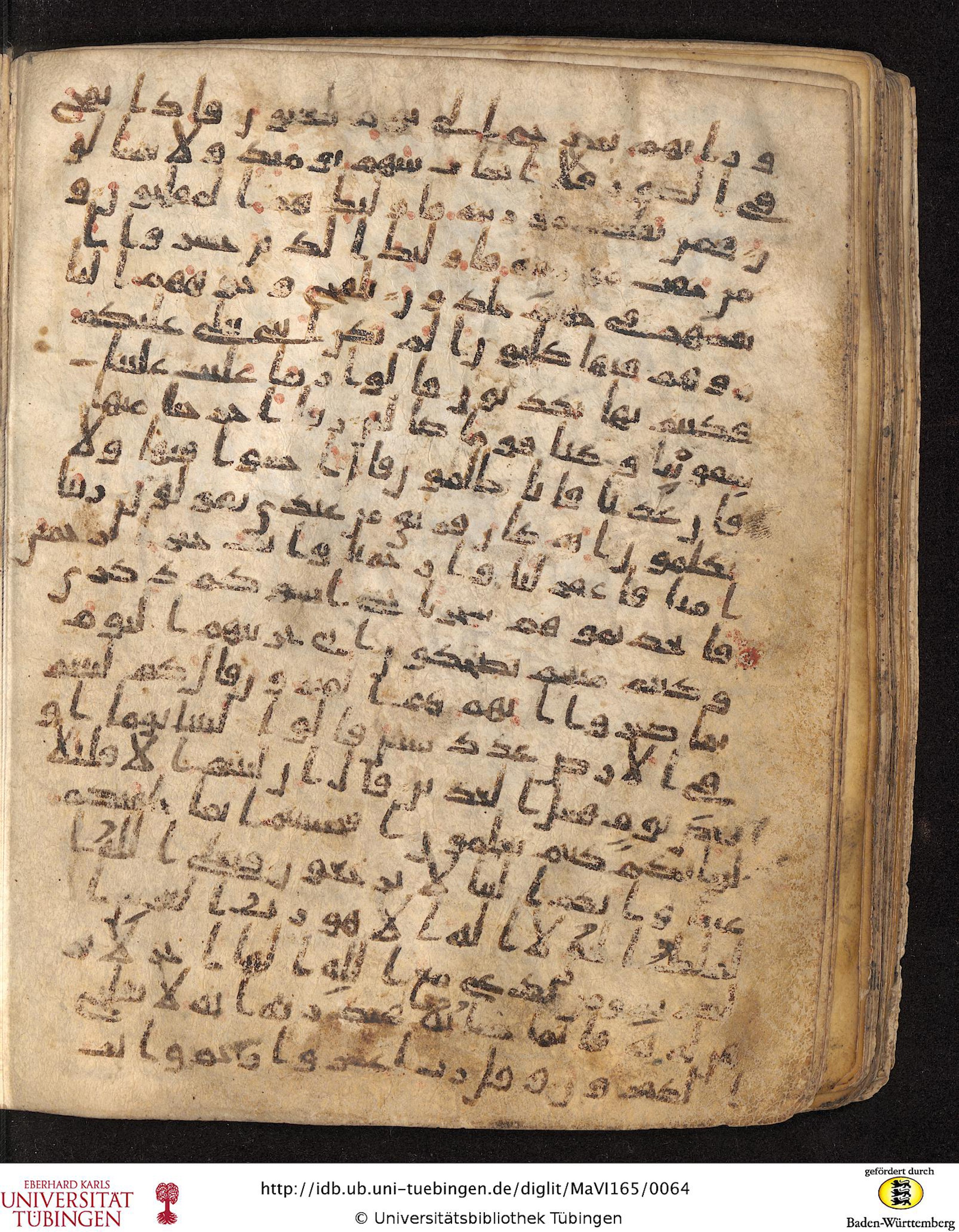 Staatsbibliothek zu Berlin, Ms. or. fol. 4313 (Scan 6), in Ḥiǧāzī (close to type II) script, showing Surah 23:113 from Mid to Late 7th Century AD found in Fustat (Old Cairo), Egypt, currently housed at Staatsbibliothek zu Berlin, Berlin