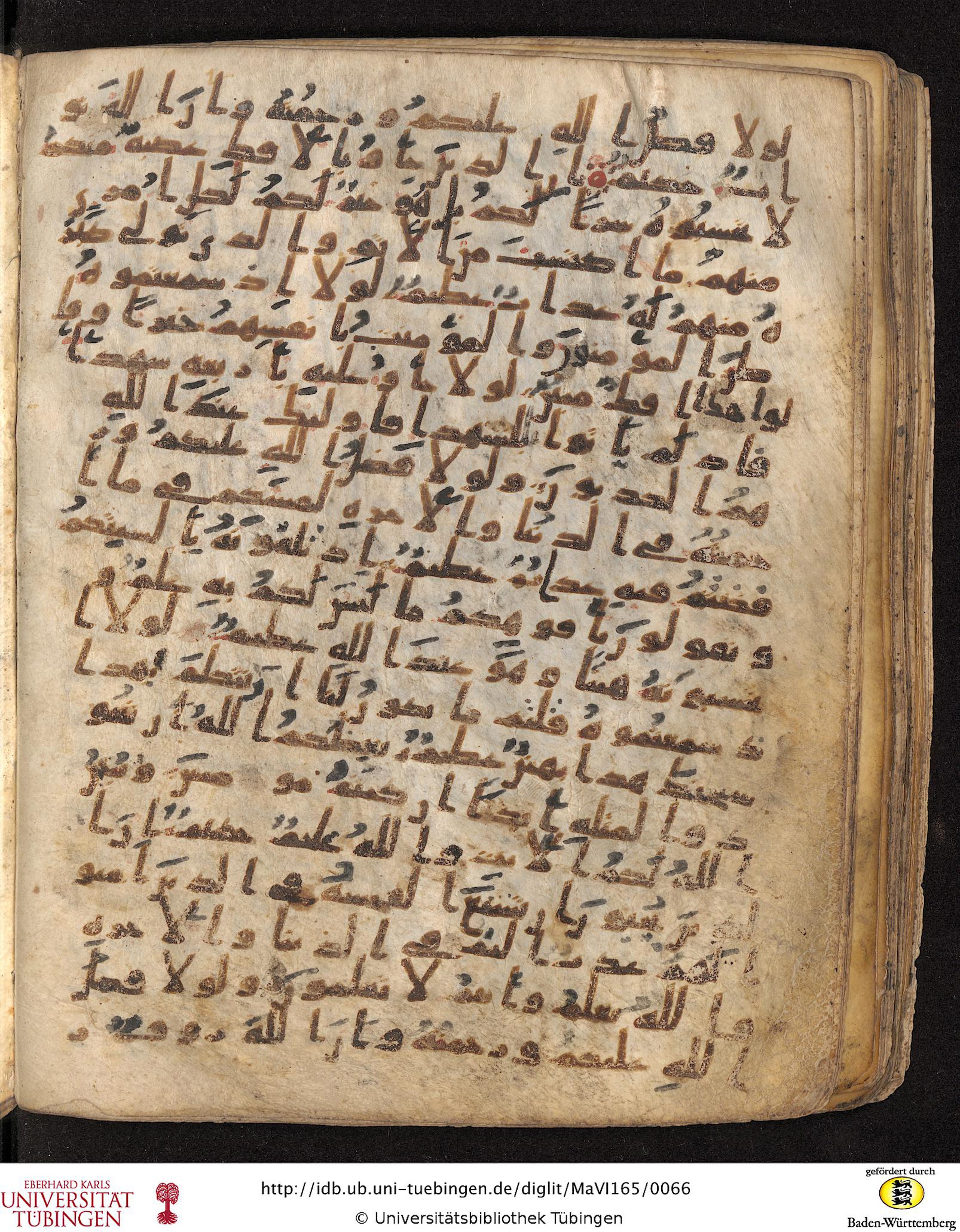 Staatsbibliothek zu Berlin, Ms. or. fol. 4313 (Scan 4), in Ḥiǧāzī (close to type II) script, showing Surah 24:16 from Mid to Late 7th Century AD found in Fustat (Old Cairo), Egypt, currently housed at Staatsbibliothek zu Berlin, Berlin