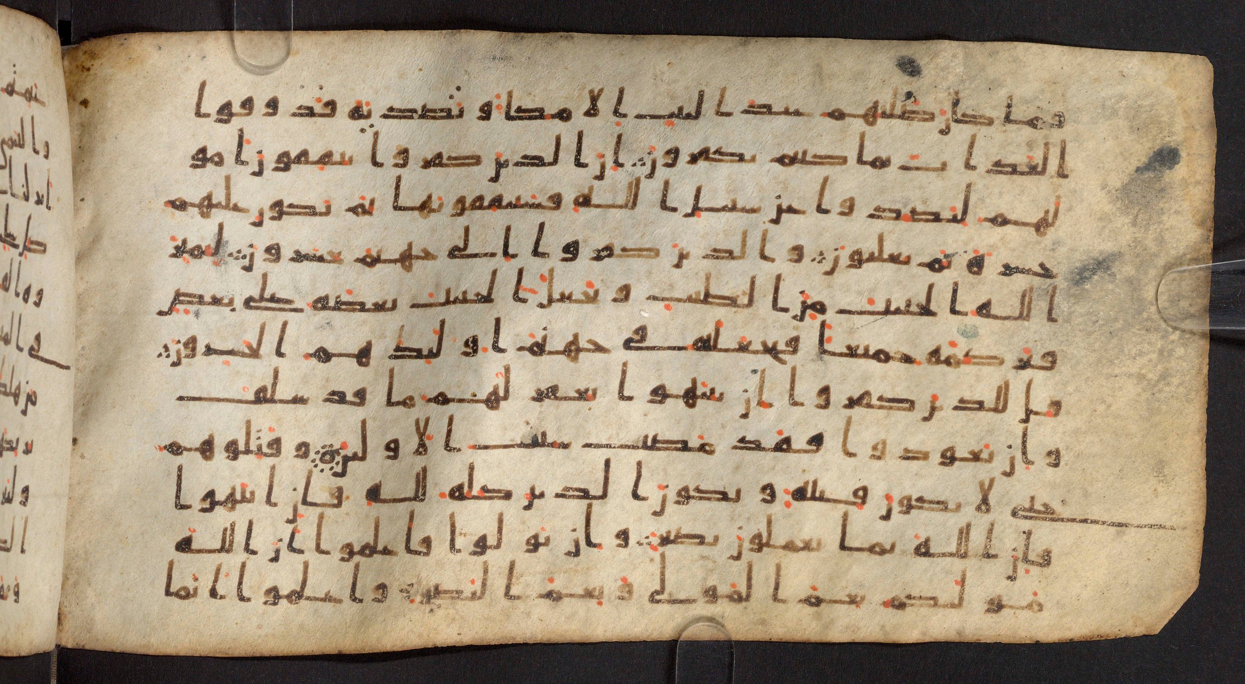 Staatsbibliothek zu Berlin, Ms. or. fol. 4313 (Scan 2), in Ḥiǧāzī (close to type II) script, showing Surah 8:39 from Mid to Late 7th Century AD found in Fustat (Old Cairo), Egypt, currently housed at Staatsbibliothek zu Berlin, Berlin