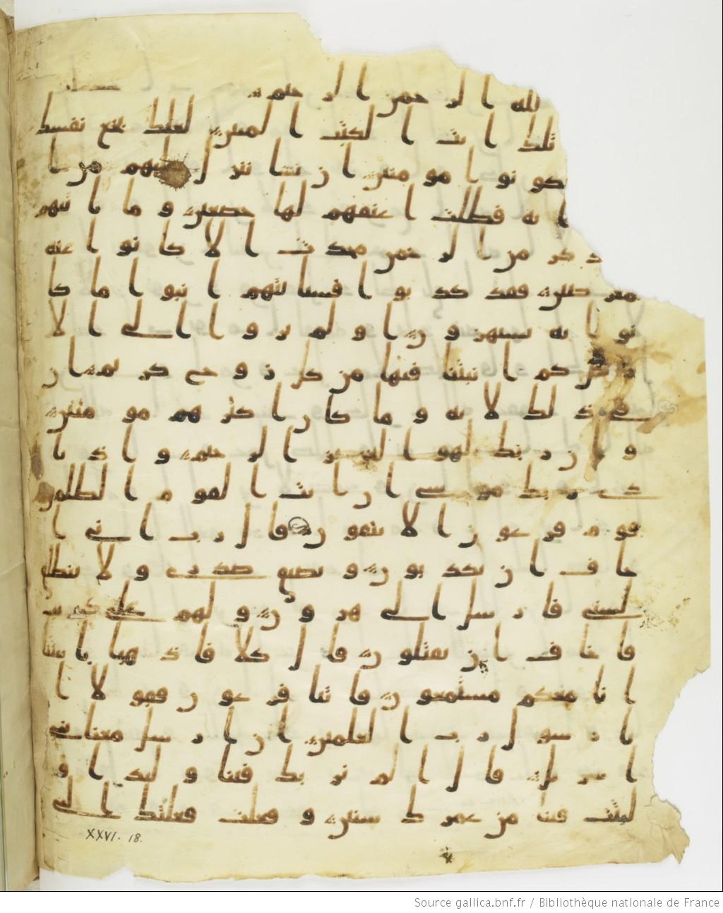 Staatsbibliothek zu Berlin, Ms. or. fol. 4313 (Scan 3), in Ḥiǧāzī (close to type II) script, showing Surah 26:13 from Mid to Late 7th Century AD found in Fustat (Old Cairo), Egypt, currently housed at Staatsbibliothek zu Berlin, Berlin