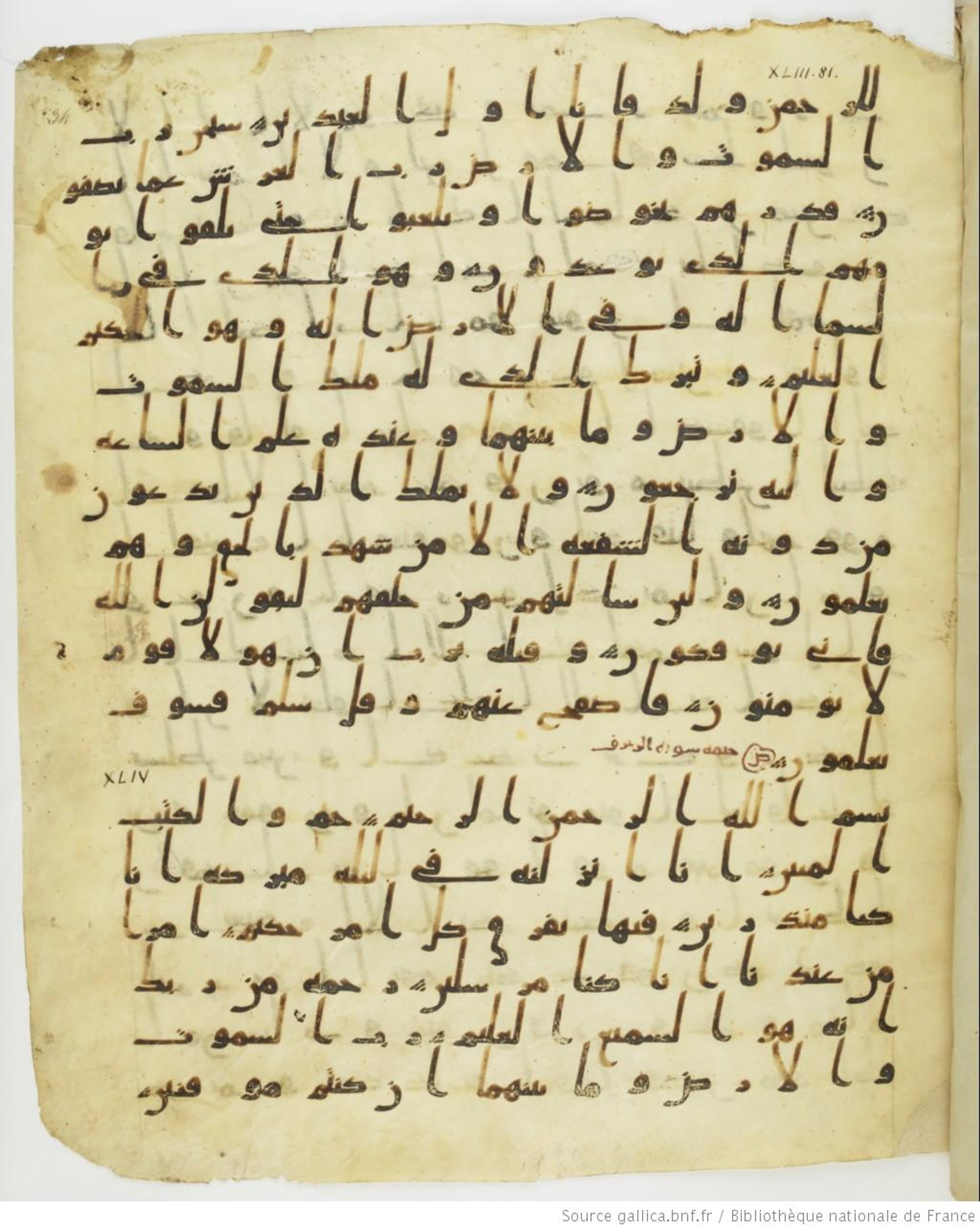 Staatsbibliothek zu Berlin, Ms. or. fol. 4313 (Scan 3), in Ḥiǧāzī (close to type II) script, showing Surah 44:2 from Mid to Late 7th Century AD found in Fustat (Old Cairo), Egypt, currently housed at Staatsbibliothek zu Berlin, Berlin