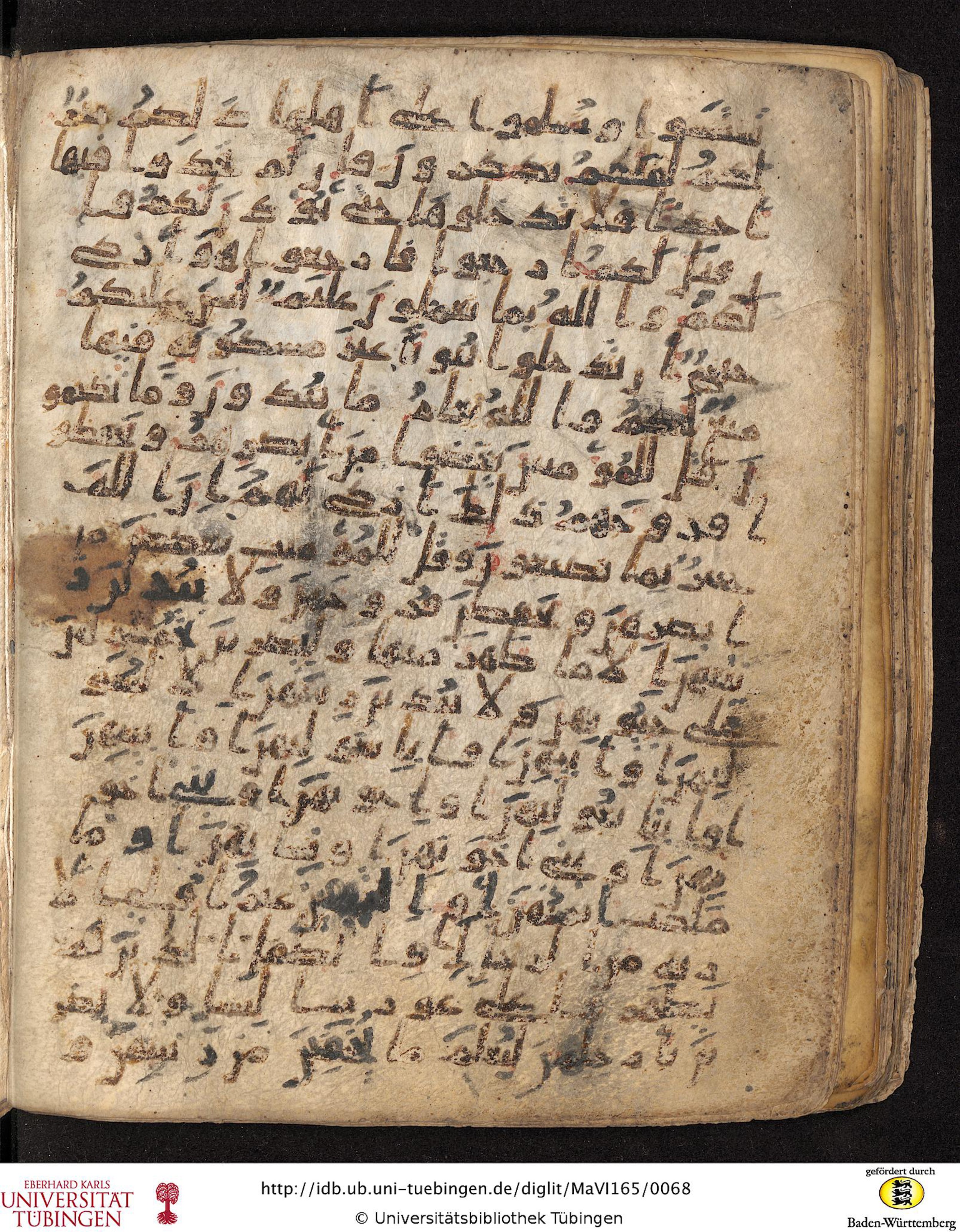 Staatsbibliothek zu Berlin, Ms. or. fol. 4313 (Scan 3), in Ḥiǧāzī (close to type II) script, showing Surah 24:29 from Mid to Late 7th Century AD found in Fustat (Old Cairo), Egypt, currently housed at Staatsbibliothek zu Berlin, Berlin