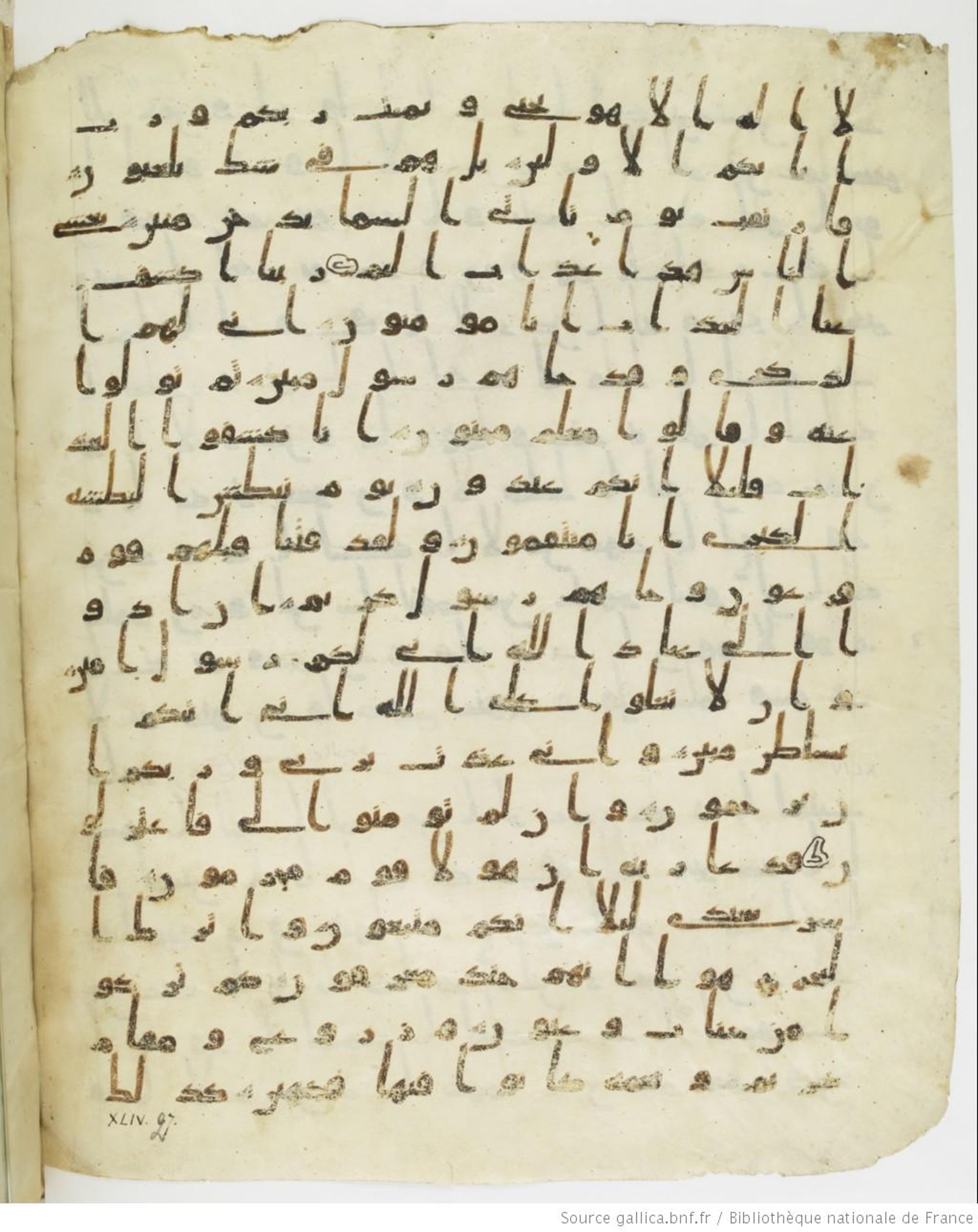 Staatsbibliothek zu Berlin, Ms. or. fol. 4313 (Scan 4), in Ḥiǧāzī (close to type II) script, showing Surah 44:21 from Mid to Late 7th Century AD found in Fustat (Old Cairo), Egypt, currently housed at Staatsbibliothek zu Berlin, Berlin