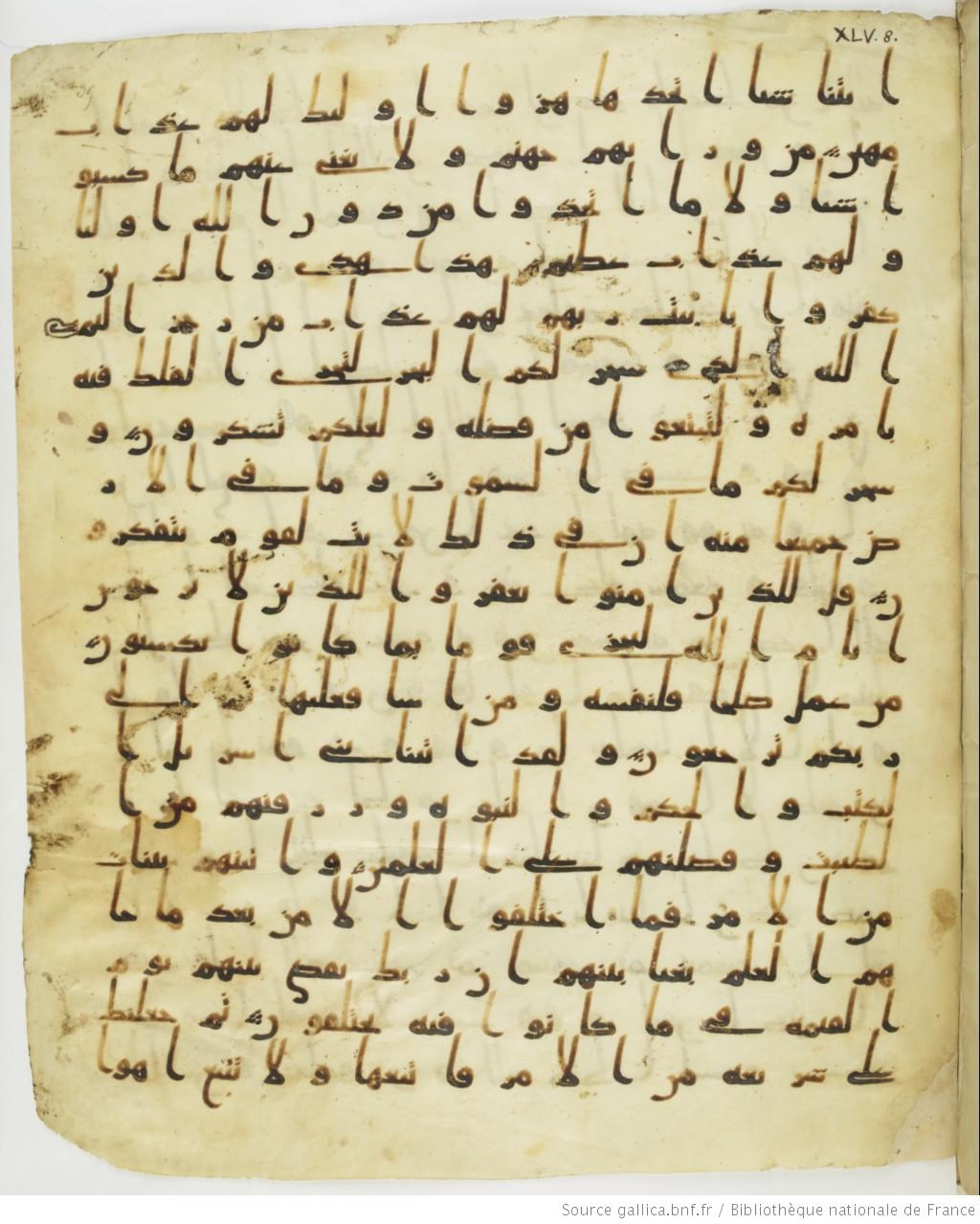 Staatsbibliothek zu Berlin, Ms. or. fol. 4313 (Scan 3), in Ḥiǧāzī (close to type II) script, showing Surah 45:13 from Mid to Late 7th Century AD found in Fustat (Old Cairo), Egypt, currently housed at Staatsbibliothek zu Berlin, Berlin