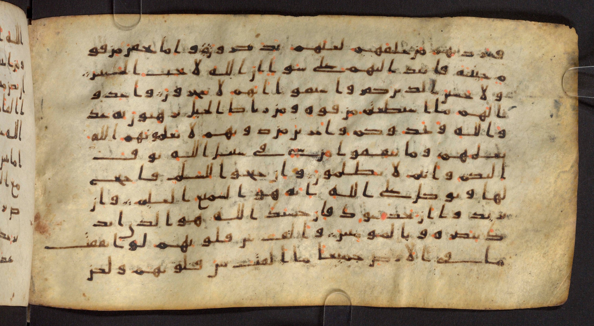 Staatsbibliothek zu Berlin, Ms. or. fol. 4313 (Scan 2), in Ḥiǧāzī (close to type II) script, showing Surah 8:63 from Mid to Late 7th Century AD found in Fustat (Old Cairo), Egypt, currently housed at Staatsbibliothek zu Berlin, Berlin