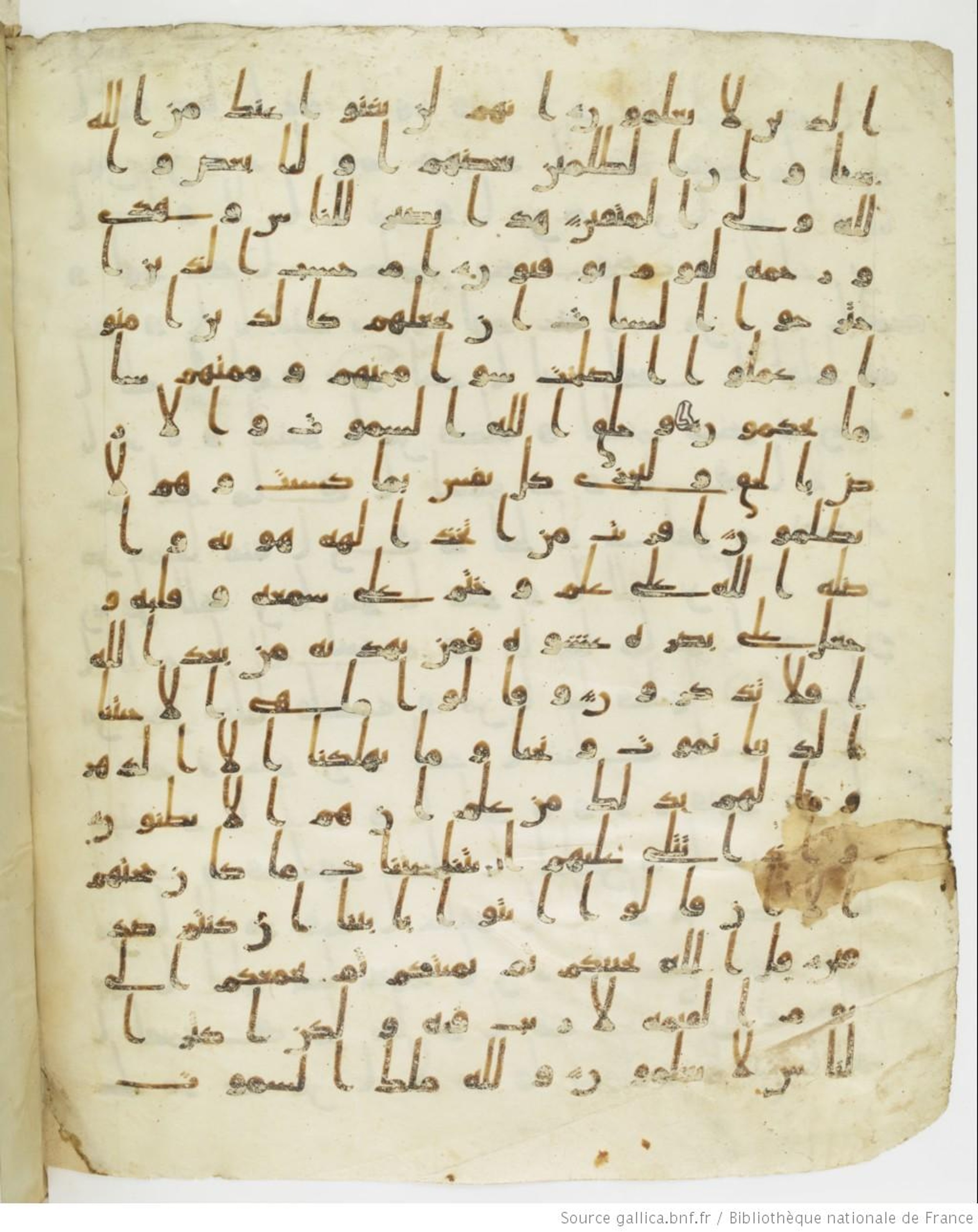 Staatsbibliothek zu Berlin, Ms. or. fol. 4313 (Scan 5), in Ḥiǧāzī (close to type II) script, showing Surah 45:25 from Mid to Late 7th Century AD found in Fustat (Old Cairo), Egypt, currently housed at Staatsbibliothek zu Berlin, Berlin