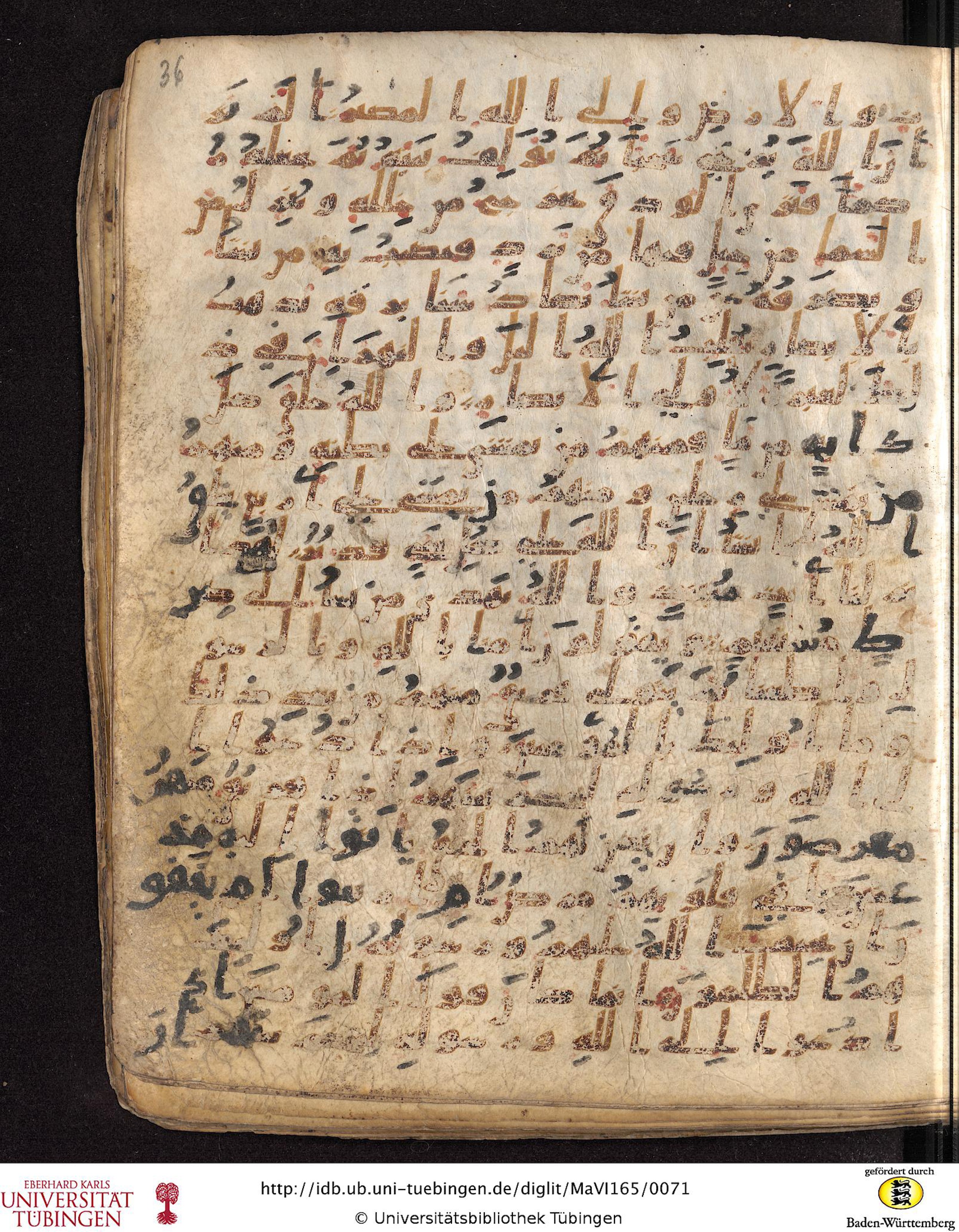 Staatsbibliothek zu Berlin, Ms. or. fol. 4313 (Scan 2), in Ḥiǧāzī (close to type II) script, showing Surah 24:49 from Mid to Late 7th Century AD found in Fustat (Old Cairo), Egypt, currently housed at Staatsbibliothek zu Berlin, Berlin