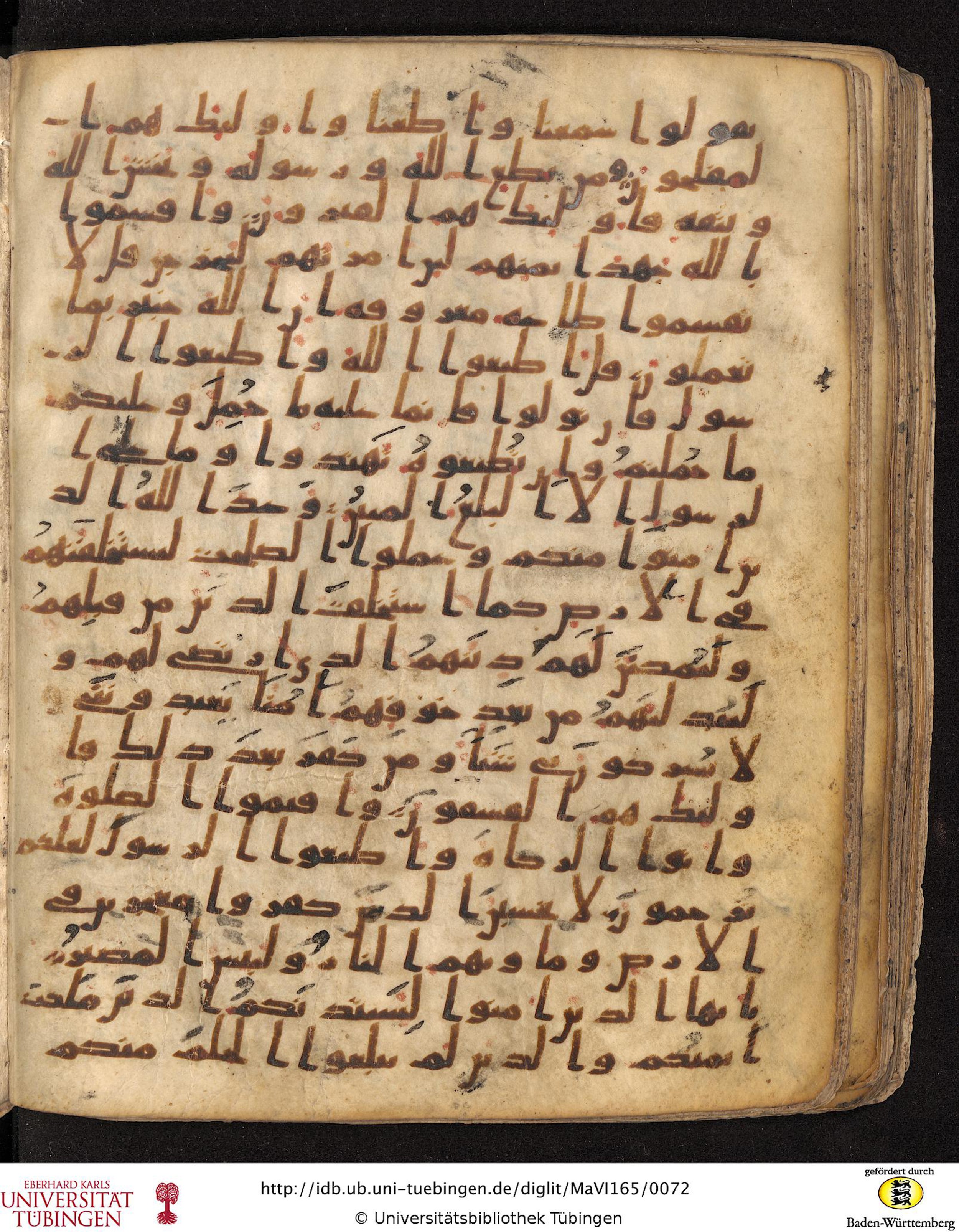 Staatsbibliothek zu Berlin, Ms. or. fol. 4313 (Scan 4), in Ḥiǧāzī (close to type II) script, showing Surah 24:52 from Mid to Late 7th Century AD found in Fustat (Old Cairo), Egypt, currently housed at Staatsbibliothek zu Berlin, Berlin