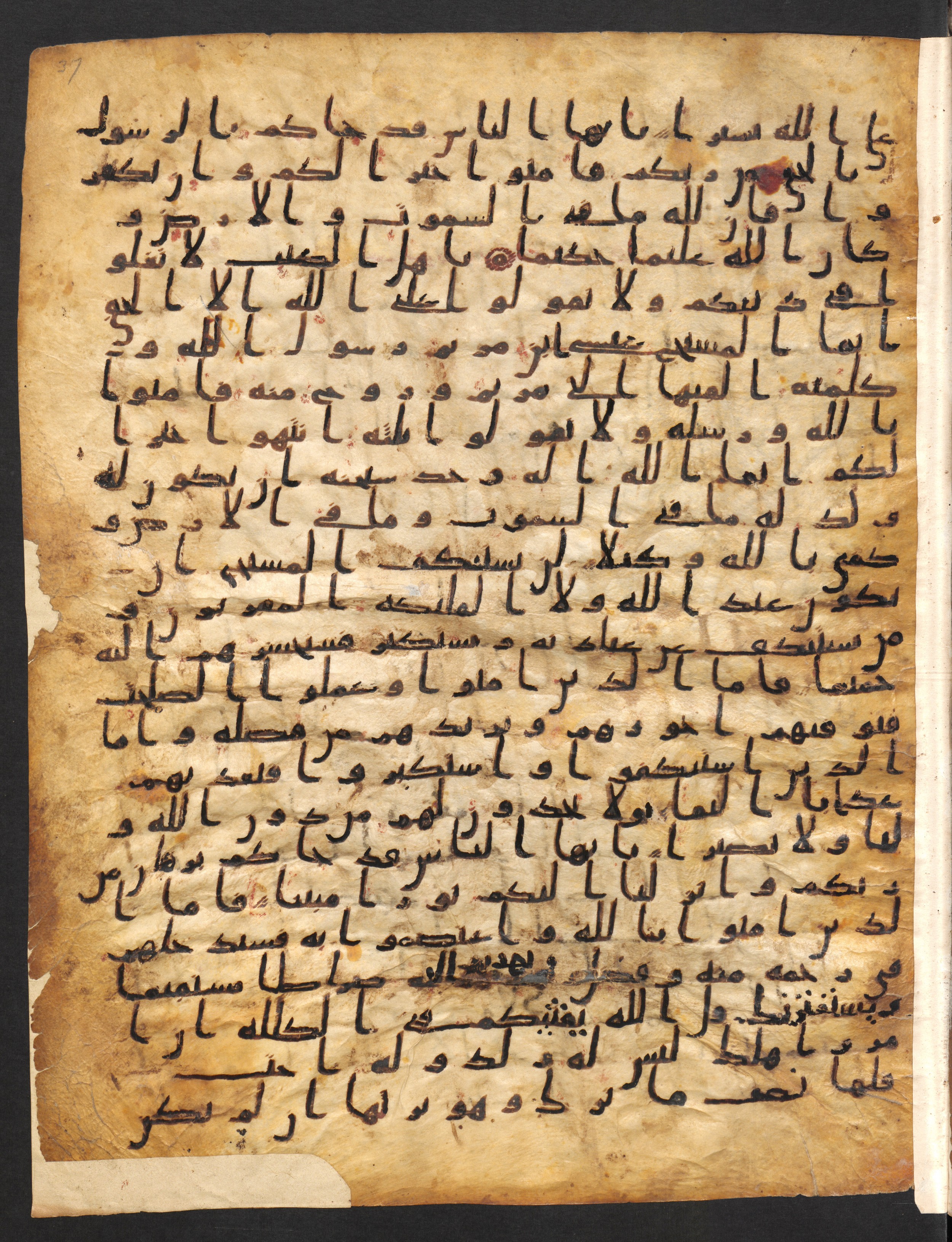 Staatsbibliothek zu Berlin, Ms. or. fol. 4313 (Scan 4), in Ḥiǧāzī (close to type II) script, showing Surah 4:175 from Mid to Late 7th Century AD found in Fustat (Old Cairo), Egypt, currently housed at Staatsbibliothek zu Berlin, Berlin