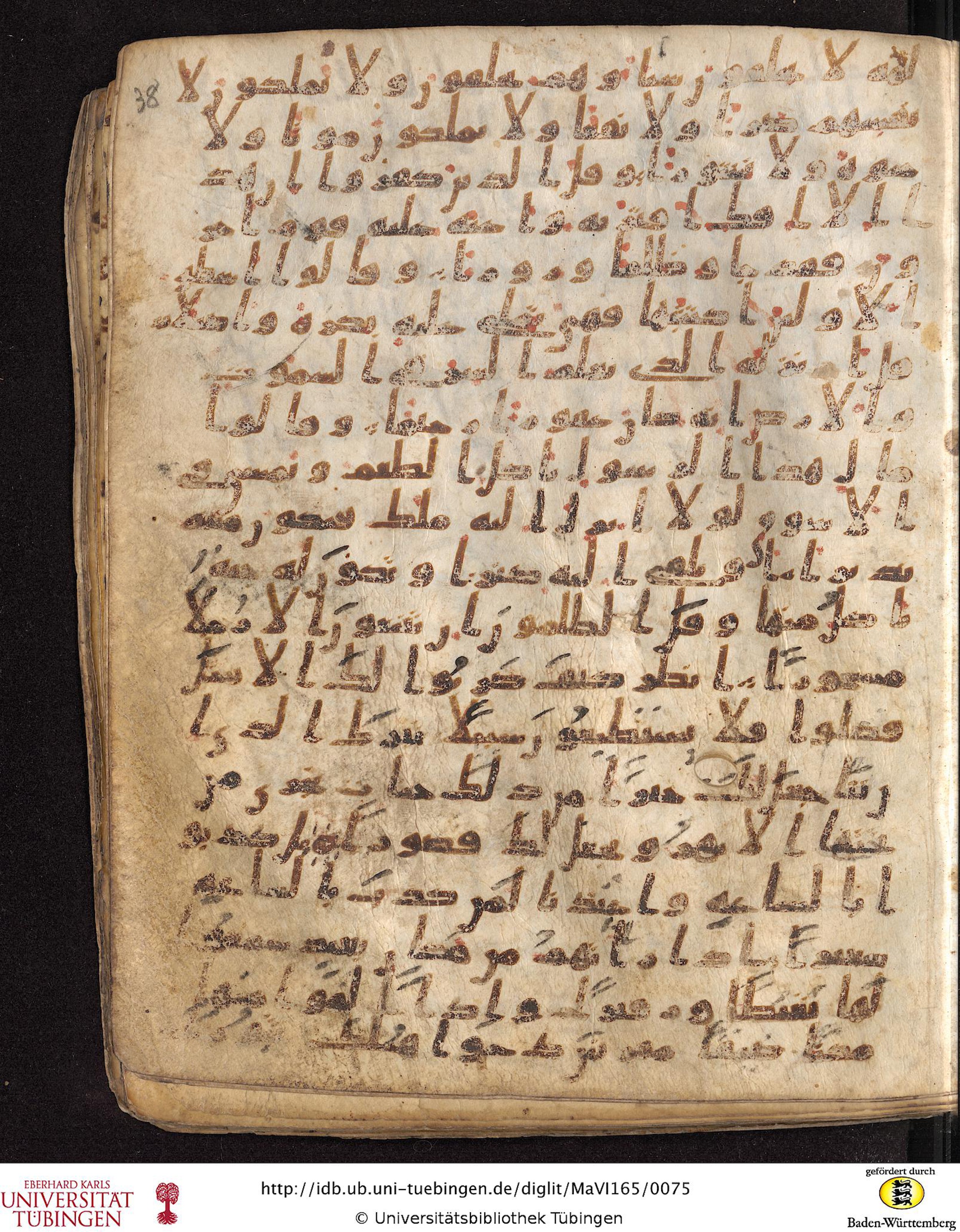 Staatsbibliothek zu Berlin, Ms. or. fol. 4313 (Scan 3), in Ḥiǧāzī (close to type II) script, showing Surah 25:13 from Mid to Late 7th Century AD found in Fustat (Old Cairo), Egypt, currently housed at Staatsbibliothek zu Berlin, Berlin