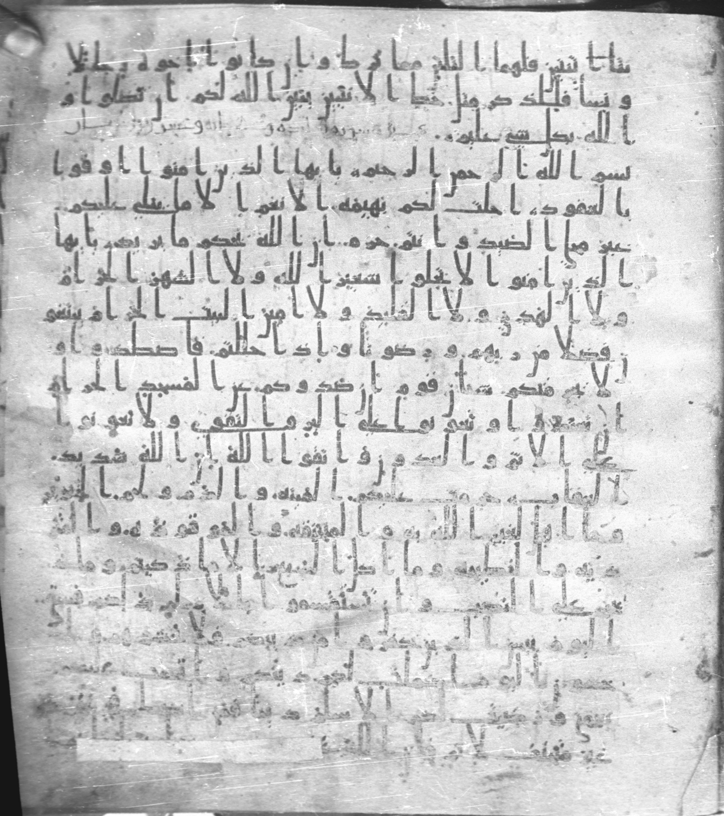Staatsbibliothek zu Berlin, Ms. or. fol. 4313 (Scan 6), in Ḥiǧāzī (close to type II) script, showing Surah 5:2 from Mid to Late 7th Century AD found in Fustat (Old Cairo), Egypt, currently housed at Staatsbibliothek zu Berlin, Berlin