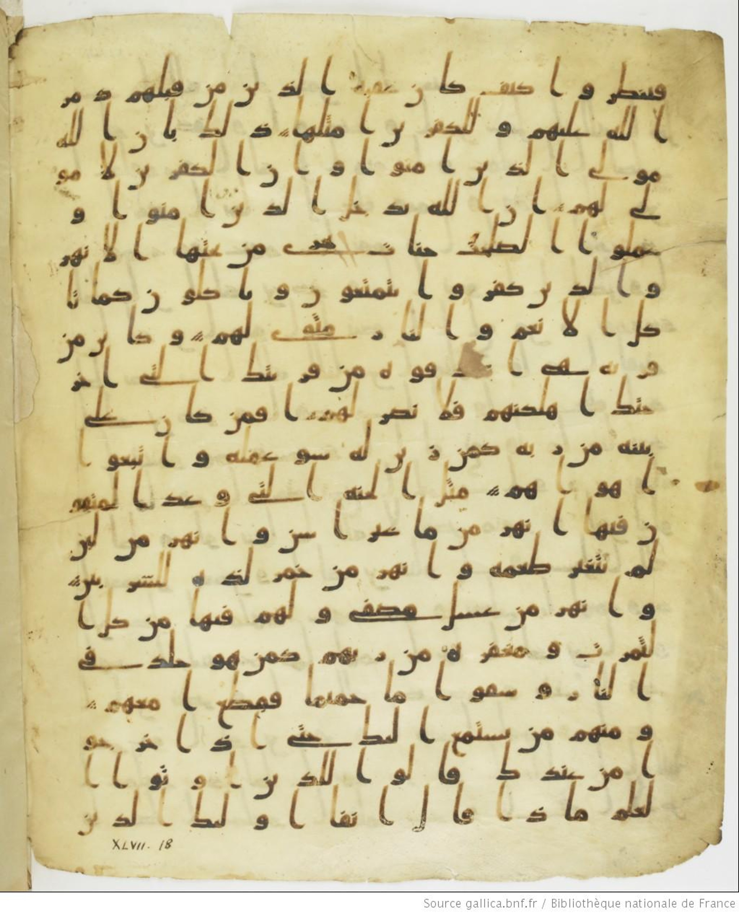 Staatsbibliothek zu Berlin, Ms. or. fol. 4313 (Scan 4), in Ḥiǧāzī (close to type II) script, showing Surah 47:13 from Mid to Late 7th Century AD found in Fustat (Old Cairo), Egypt, currently housed at Staatsbibliothek zu Berlin, Berlin
