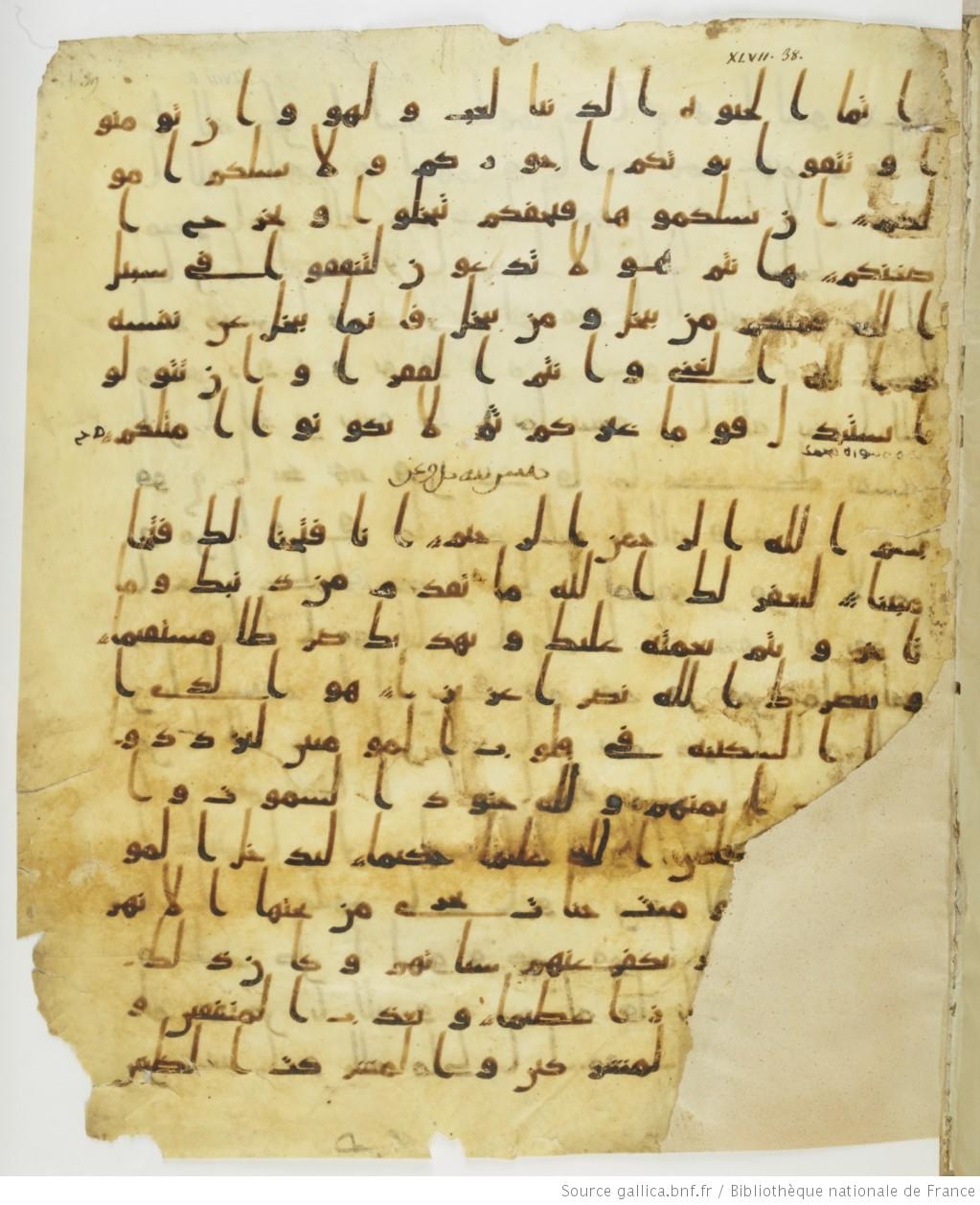 Staatsbibliothek zu Berlin, Ms. or. fol. 4313 (Scan 4), in Ḥiǧāzī (close to type II) script, showing Surah 48:3 from Mid to Late 7th Century AD found in Fustat (Old Cairo), Egypt, currently housed at Staatsbibliothek zu Berlin, Berlin