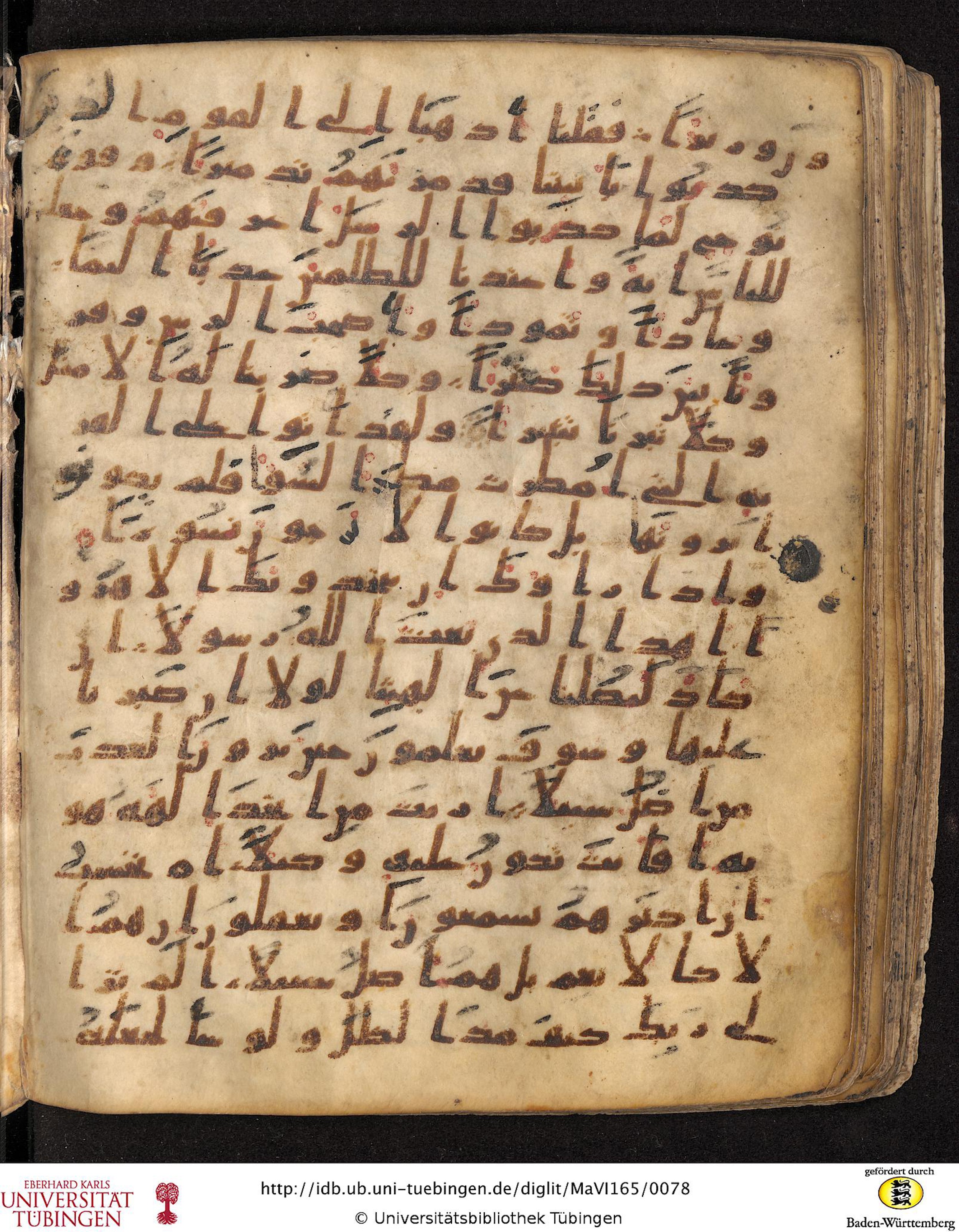 Staatsbibliothek zu Berlin, Ms. or. fol. 4313 (Scan 4), in Ḥiǧāzī (close to type II) script, showing Surah 25:39 from Mid to Late 7th Century AD found in Fustat (Old Cairo), Egypt, currently housed at Staatsbibliothek zu Berlin, Berlin
