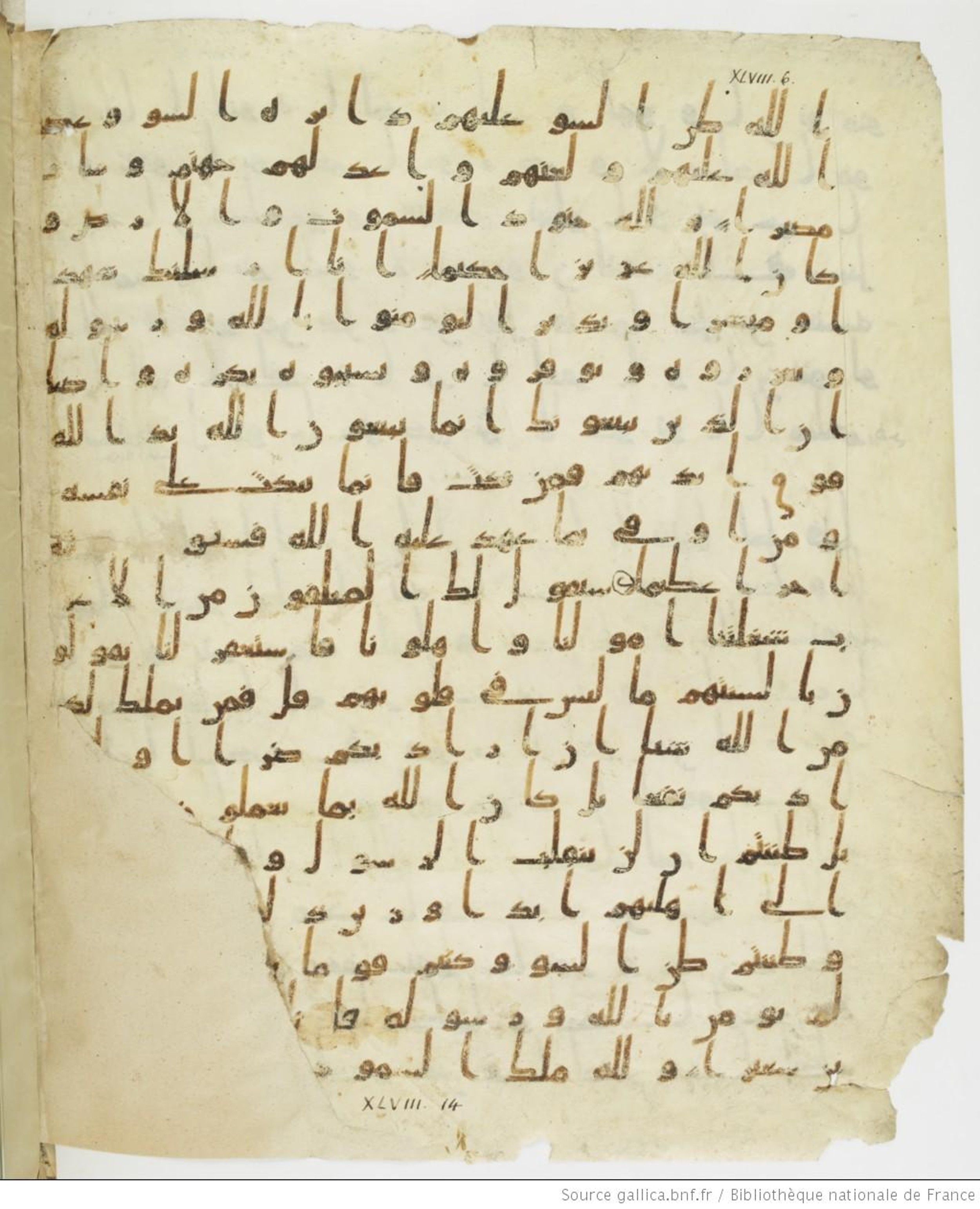 Staatsbibliothek zu Berlin, Ms. or. fol. 4313 (Scan 3), in Ḥiǧāzī (close to type II) script, showing Surah 48:7 from Mid to Late 7th Century AD found in Fustat (Old Cairo), Egypt, currently housed at Staatsbibliothek zu Berlin, Berlin