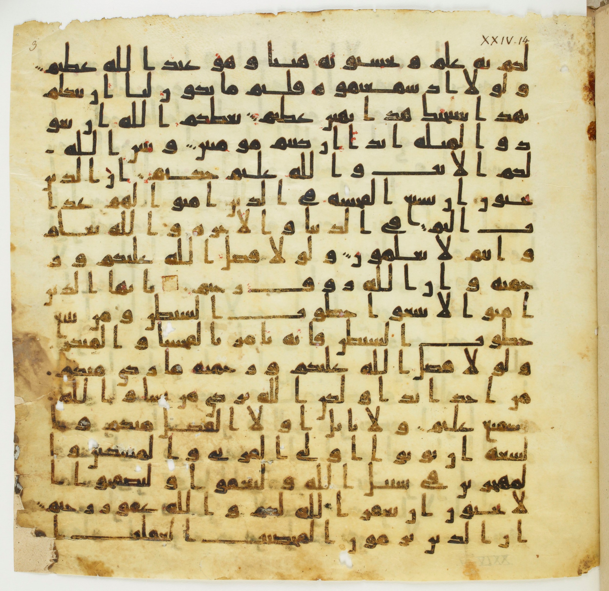 Staatsbibliothek zu Berlin, Ms. or. fol. 4313 (Scan 6), in Ḥiǧāzī (close to type II) script, showing Surah 24:22 from Mid to Late 7th Century AD found in Fustat (Old Cairo), Egypt, currently housed at Staatsbibliothek zu Berlin, Berlin