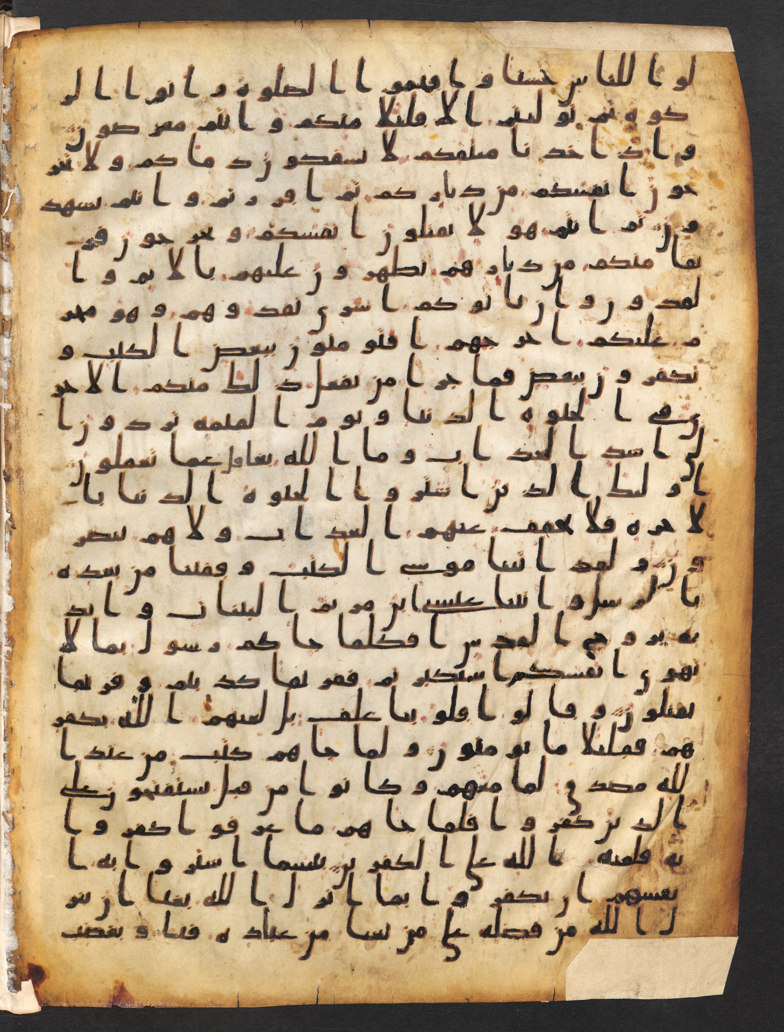 Staatsbibliothek zu Berlin, Ms. or. fol. 4313 (Scan 2), in Ḥiǧāzī (close to type II) script, showing Surah 2:83 from Mid to Late 7th Century AD found in Fustat (Old Cairo), Egypt, currently housed at Staatsbibliothek zu Berlin, Berlin