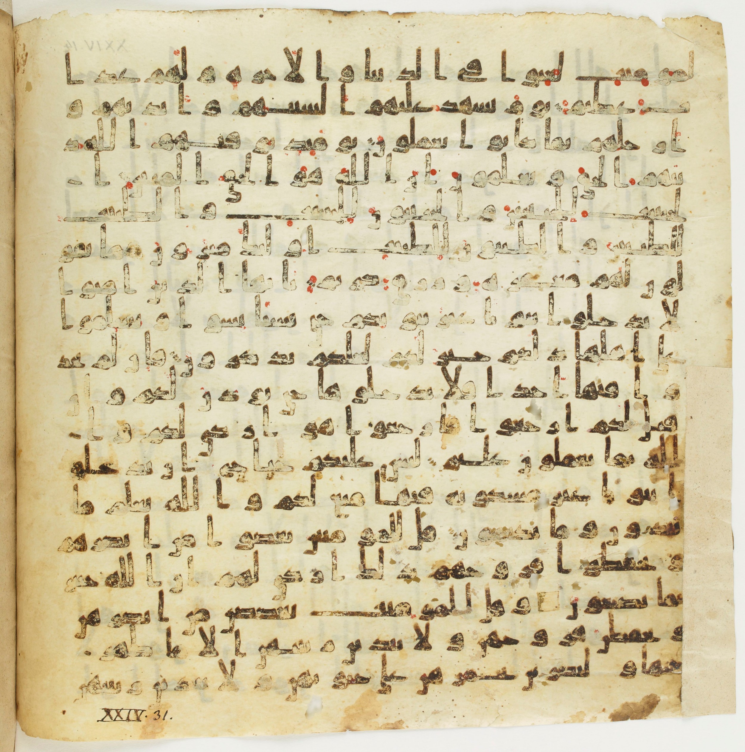 Staatsbibliothek zu Berlin, Ms. or. fol. 4313 (Scan 5), in Ḥiǧāzī (close to type II) script, showing Surah 24:29 from Mid to Late 7th Century AD found in Fustat (Old Cairo), Egypt, currently housed at Staatsbibliothek zu Berlin, Berlin