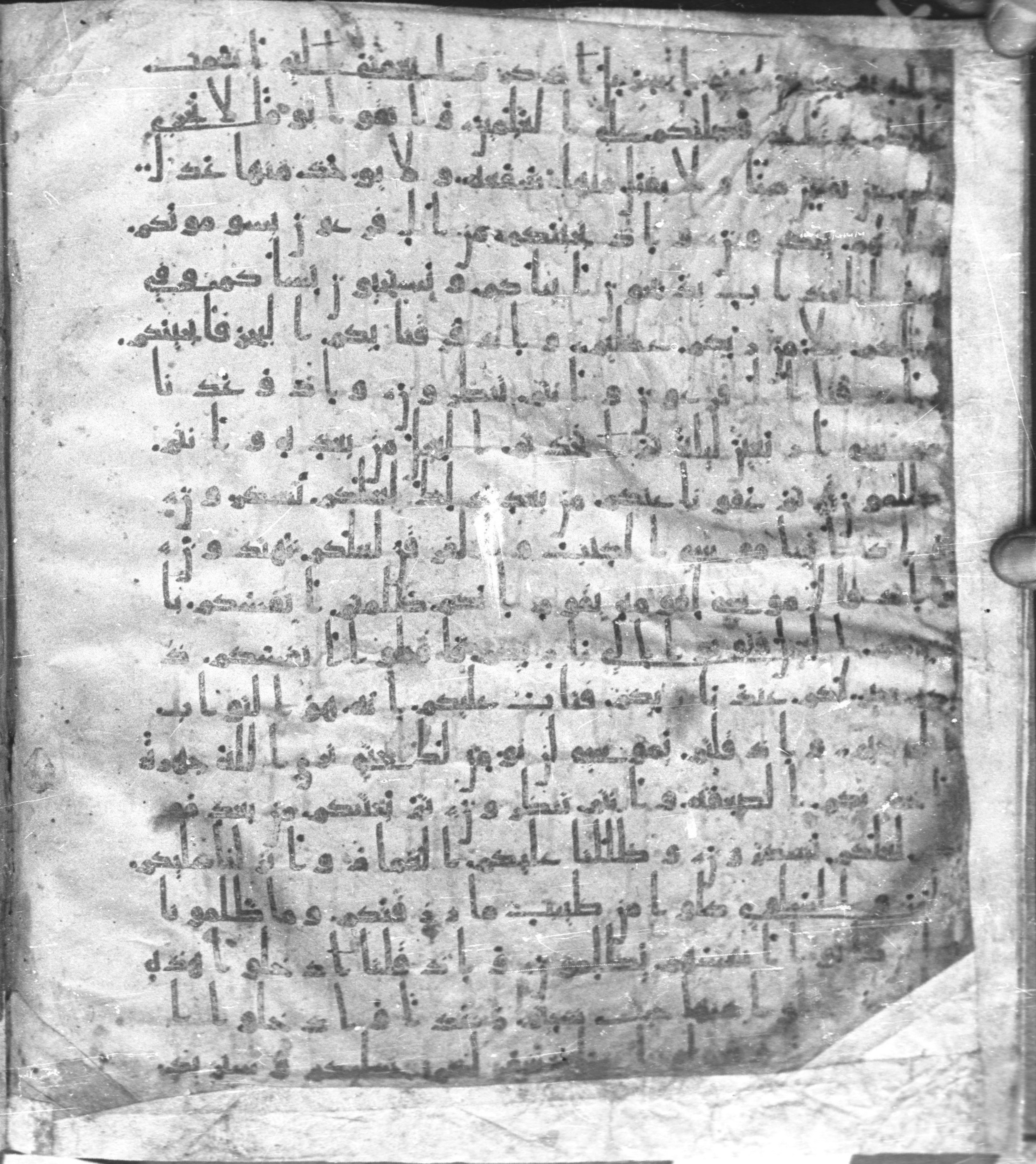 Staatsbibliothek zu Berlin, Ms. or. fol. 4313 (Scan 2), in Ḥiǧāzī (close to type II) script, showing Surah 2:49 from Mid to Late 7th Century AD found in Fustat (Old Cairo), Egypt, currently housed at Staatsbibliothek zu Berlin, Berlin