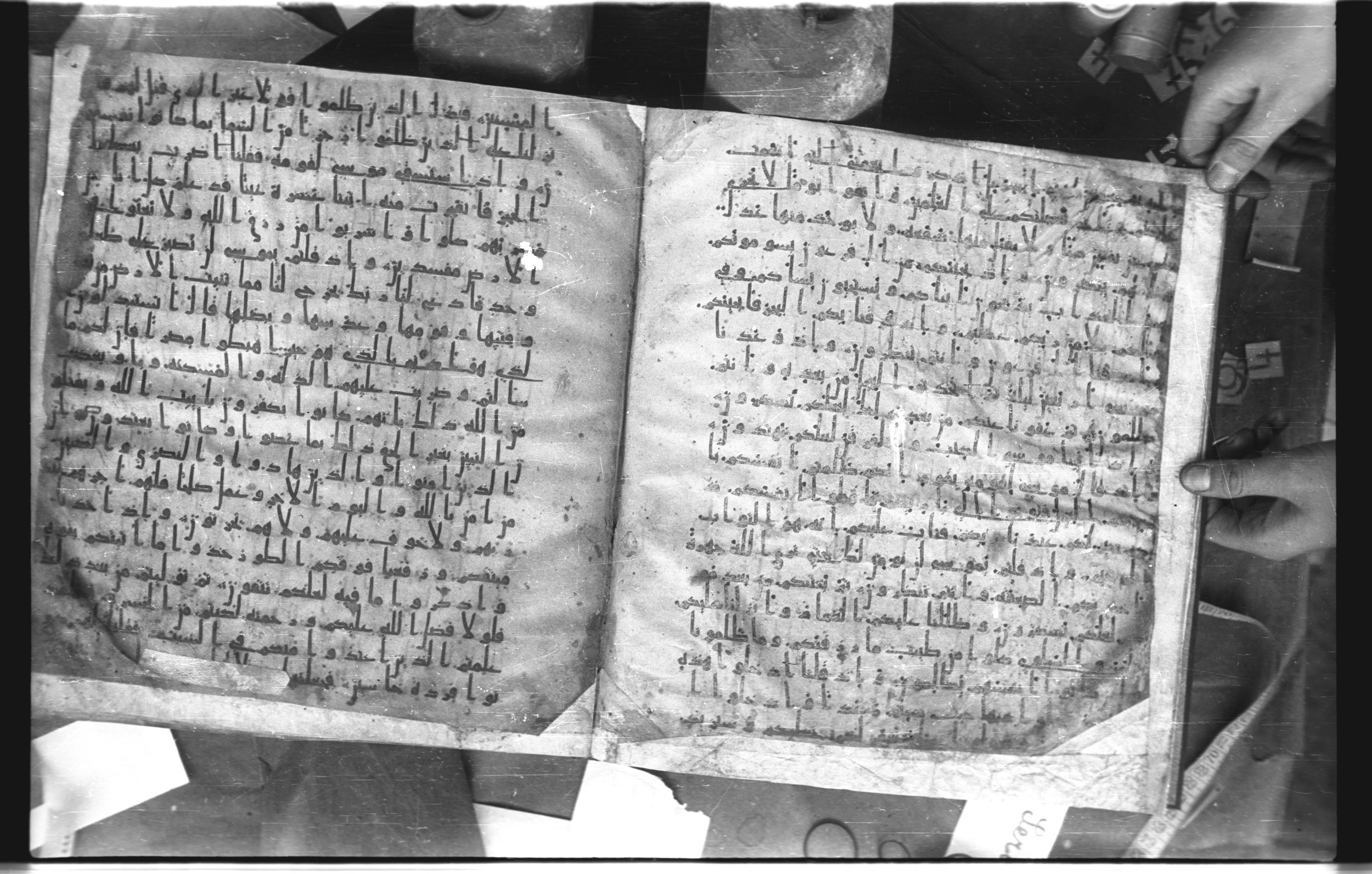 Staatsbibliothek zu Berlin, Ms. or. fol. 4313 (Scan 3), in Ḥiǧāzī (close to type II) script, showing Surah 2:49 from Mid to Late 7th Century AD found in Fustat (Old Cairo), Egypt, currently housed at Staatsbibliothek zu Berlin, Berlin