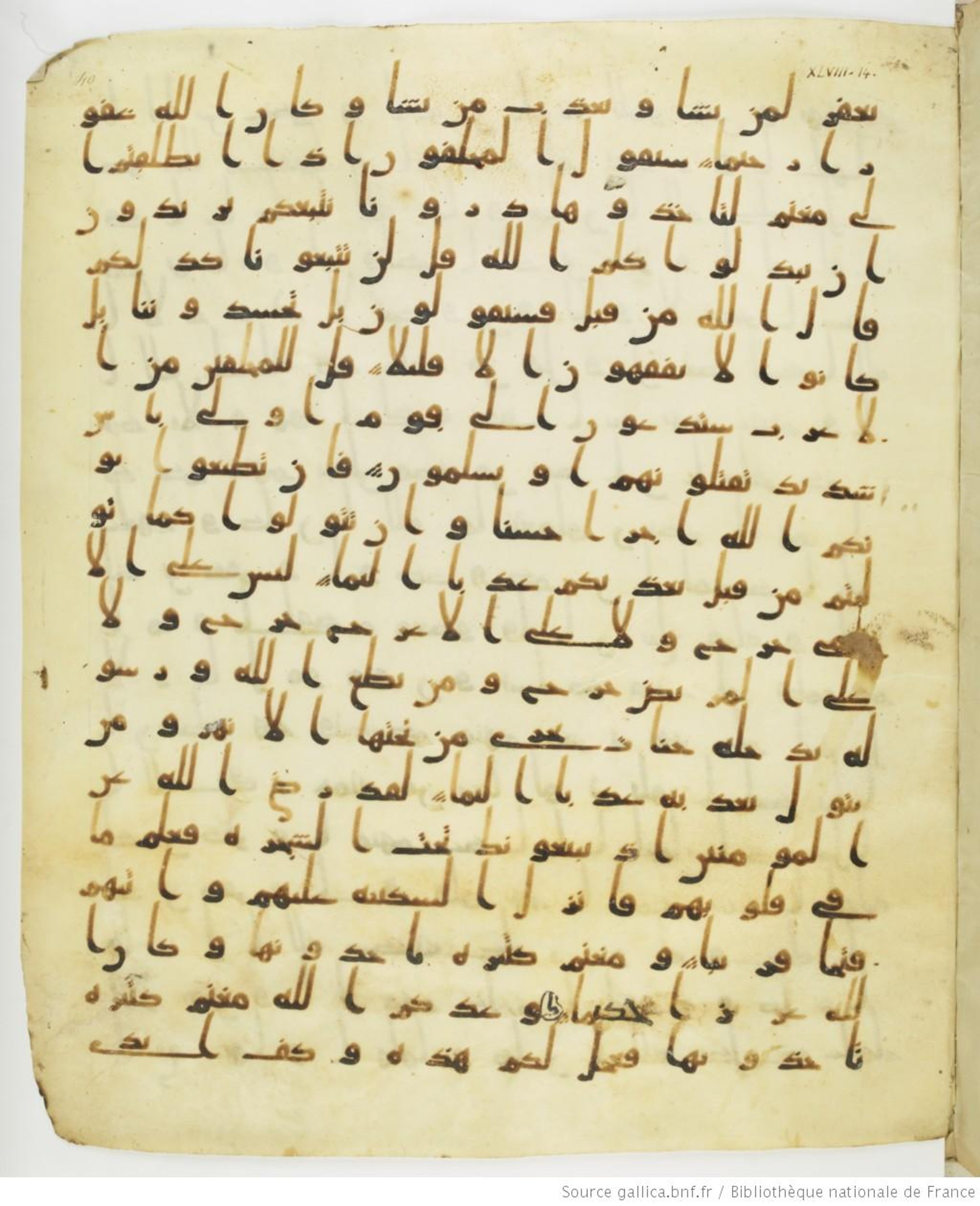 Staatsbibliothek zu Berlin, Ms. or. fol. 4313 (Scan 4), in Ḥiǧāzī (close to type II) script, showing Surah 48:20 from Mid to Late 7th Century AD found in Fustat (Old Cairo), Egypt, currently housed at Staatsbibliothek zu Berlin, Berlin