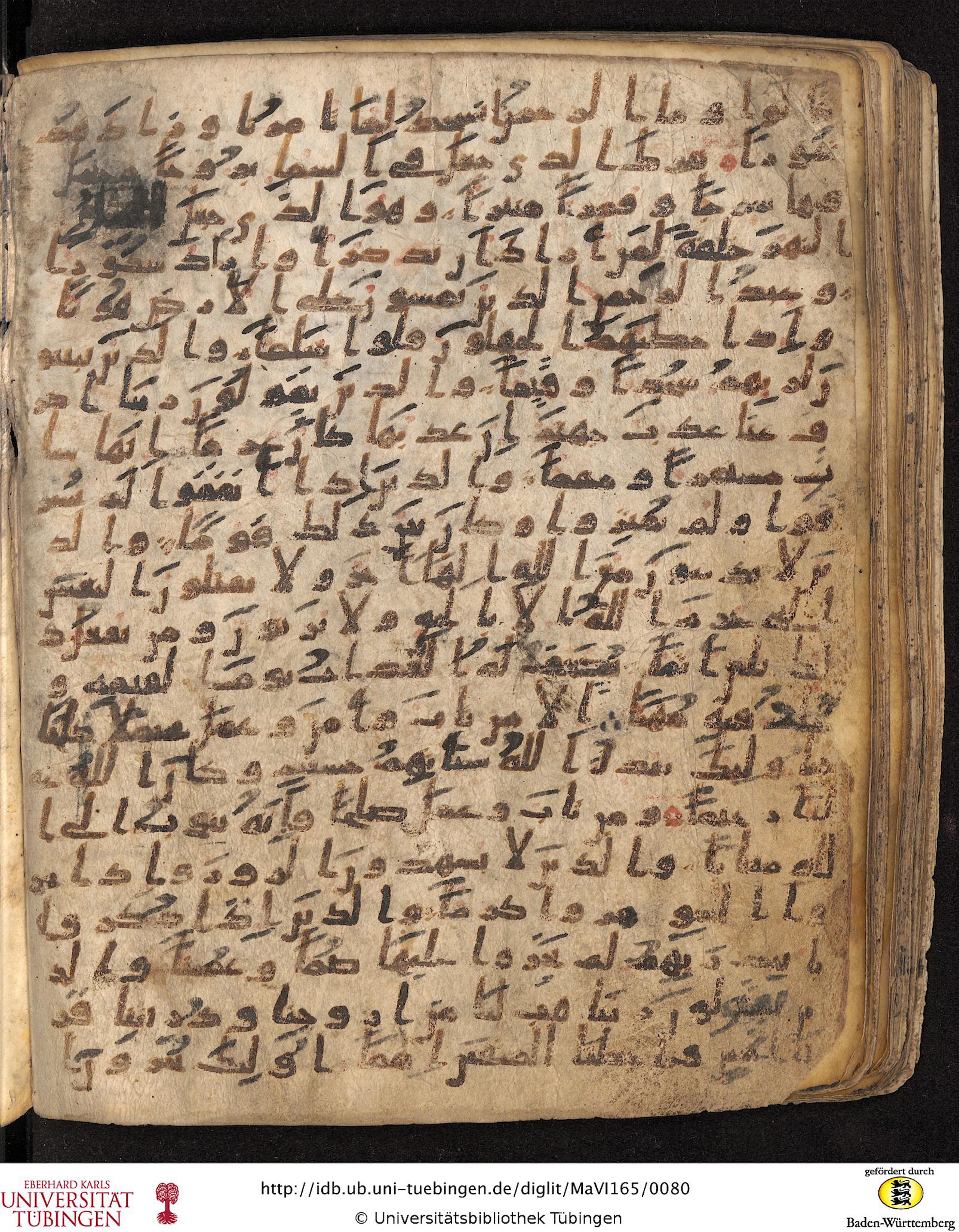 Staatsbibliothek zu Berlin, Ms. or. fol. 4313 (Scan 5), in Ḥiǧāzī (close to type II) script, showing Surah 25:71 from Mid to Late 7th Century AD found in Fustat (Old Cairo), Egypt, currently housed at Staatsbibliothek zu Berlin, Berlin