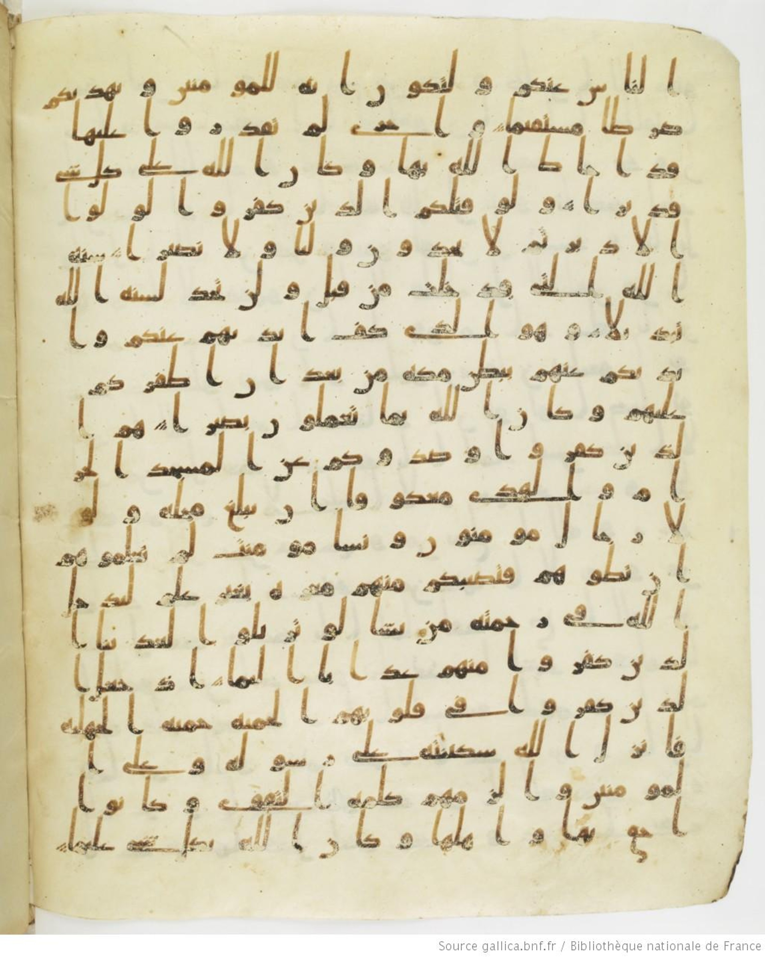 Staatsbibliothek zu Berlin, Ms. or. fol. 4313 (Scan 4), in Ḥiǧāzī (close to type II) script, showing Surah 48:21 from Mid to Late 7th Century AD found in Fustat (Old Cairo), Egypt, currently housed at Staatsbibliothek zu Berlin, Berlin